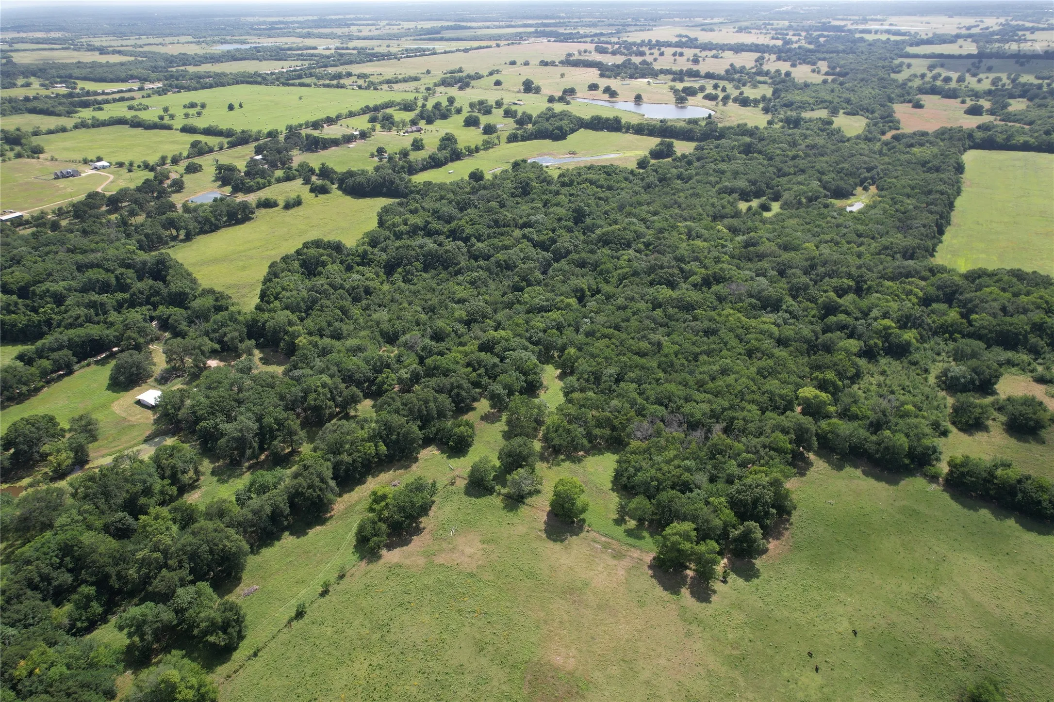 Unimproved Land For Sale in Hopkins County , TBD County Road 4719, Cumby, Texas 75433, 0, 0, Garage spaces, 0 Sqft, built in 0, mls#21318213, Real Estate Agent in Cumby, Homes For Sale in Hopkins county, Homes For Sale in Cumby, Realtor in Cumby Texas, Real Estate Brokerage Independent Realty Texas, Luminita Cordes Realtor