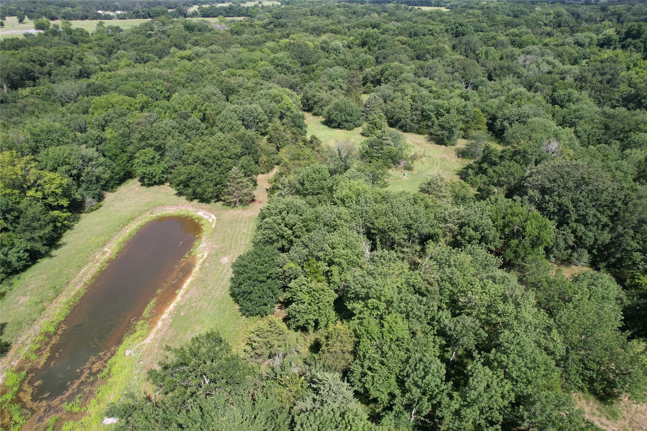 Unimproved Land For Sale in Hopkins County , TBD County Road 4719, Cumby, Texas 75433, 0, 0, Garage spaces, 0 Sqft, built in 0, mls#21318213, Real Estate Agent in Cumby, Homes For Sale in Hopkins county, Homes For Sale in Cumby, Realtor in Cumby Texas, Real Estate Brokerage Independent Realty Texas, Luminita Cordes Realtor