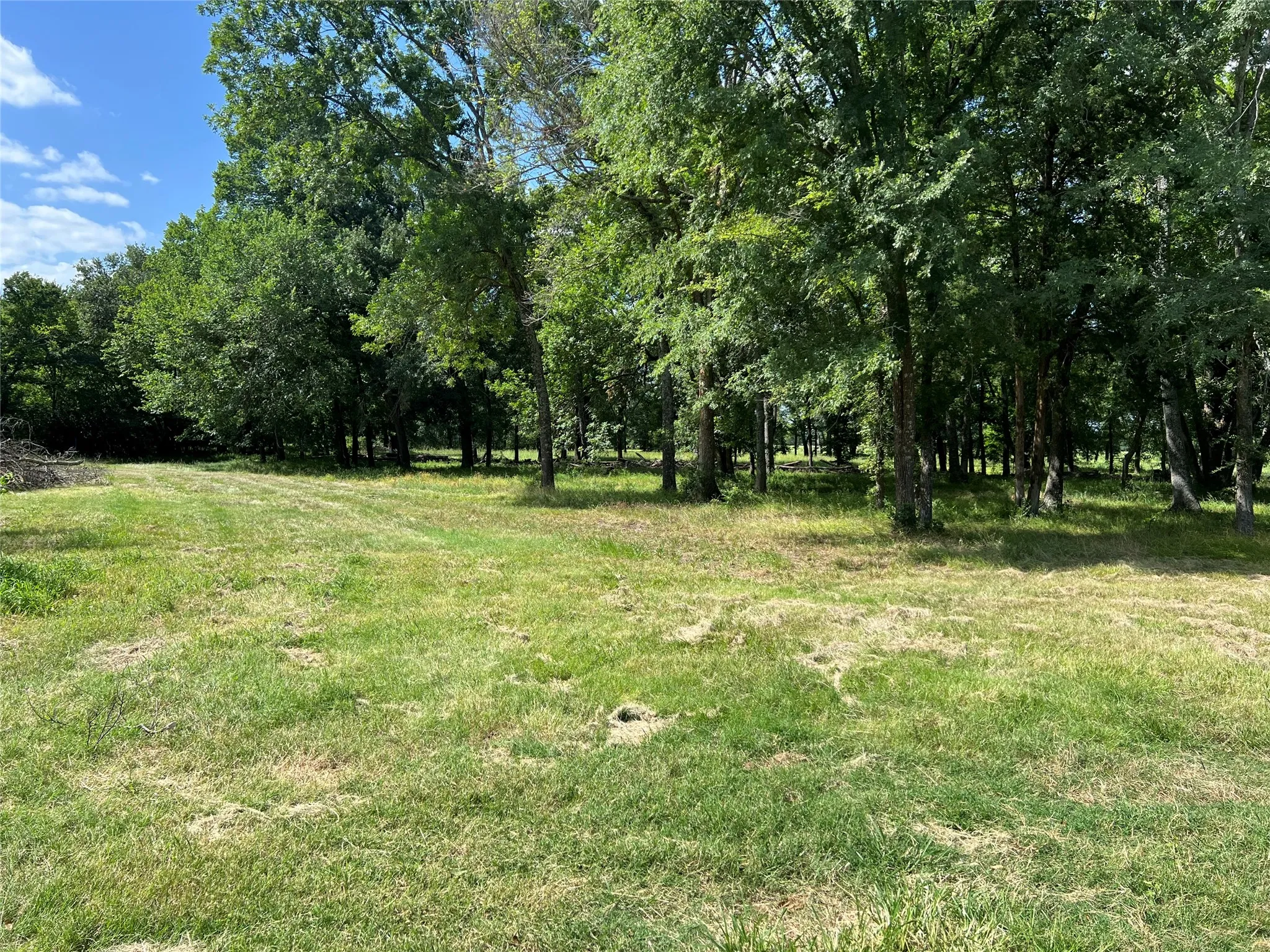 Unimproved Land For Sale in Hopkins County , TBD County Road 4719, Cumby, Texas 75433, 0, 0, Garage spaces, 0 Sqft, built in 0, mls#21318213, Real Estate Agent in Cumby, Homes For Sale in Hopkins county, Homes For Sale in Cumby, Realtor in Cumby Texas, Real Estate Brokerage Independent Realty Texas, Luminita Cordes Realtor