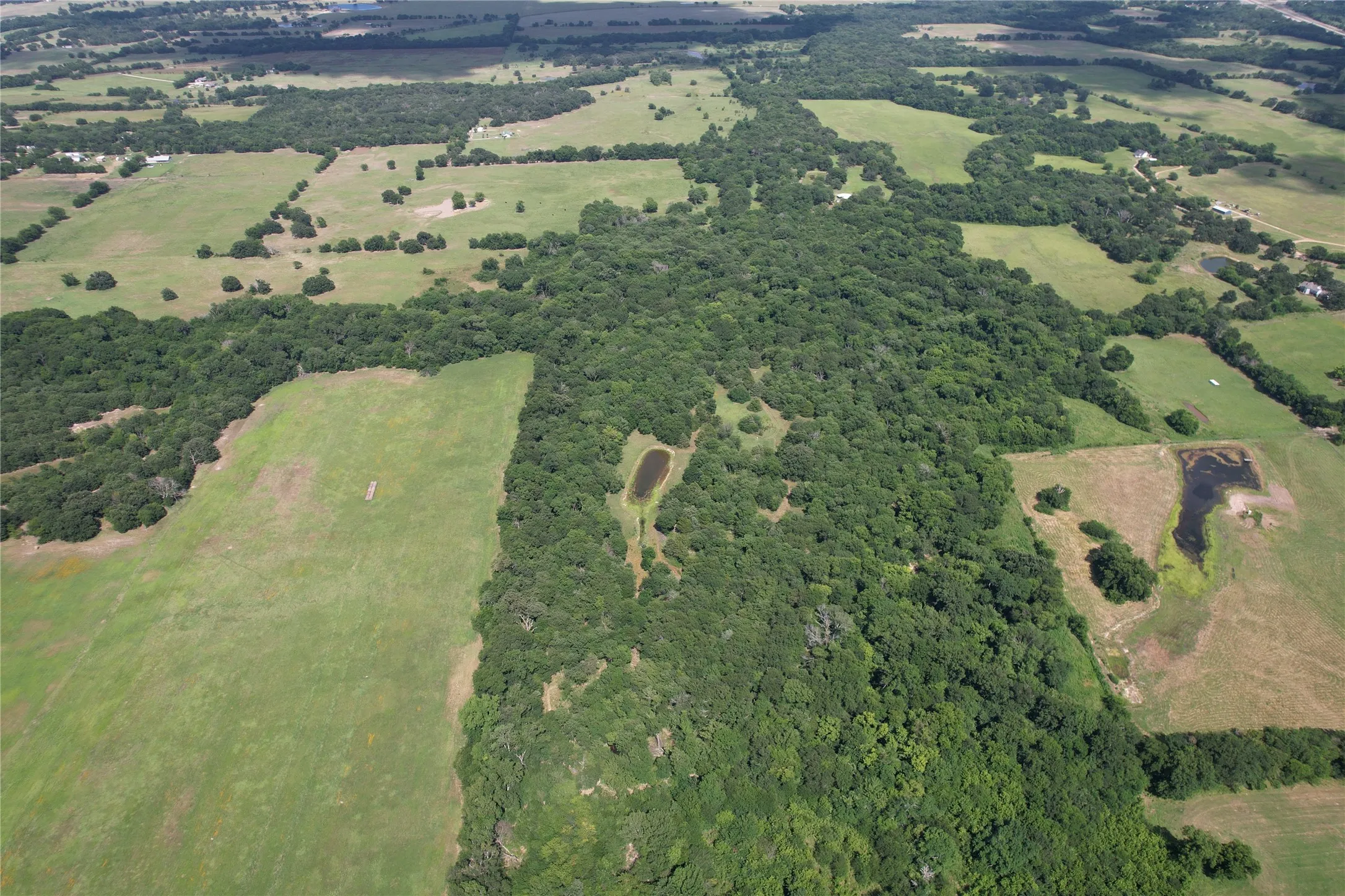 Unimproved Land For Sale in Hopkins County , TBD County Road 4719, Cumby, Texas 75433, 0, 0, Garage spaces, 0 Sqft, built in 0, mls#21318213, Real Estate Agent in Cumby, Homes For Sale in Hopkins county, Homes For Sale in Cumby, Realtor in Cumby Texas, Real Estate Brokerage Independent Realty Texas, Luminita Cordes Realtor