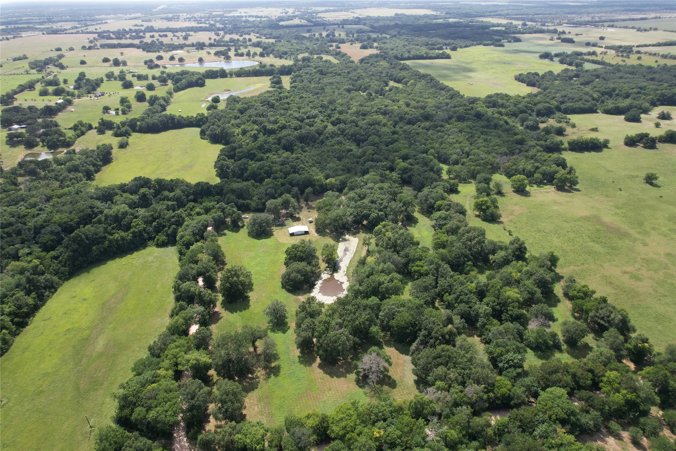 Unimproved Land For Sale in Hopkins County , TBD County Road 4719, Cumby, Texas 75433, 0, 0, Garage spaces, 0 Sqft, built in 0, mls#21318213, Real Estate Agent in Cumby, Homes For Sale in Hopkins county, Homes For Sale in Cumby, Realtor in Cumby Texas, Real Estate Brokerage Independent Realty Texas, Luminita Cordes Realtor