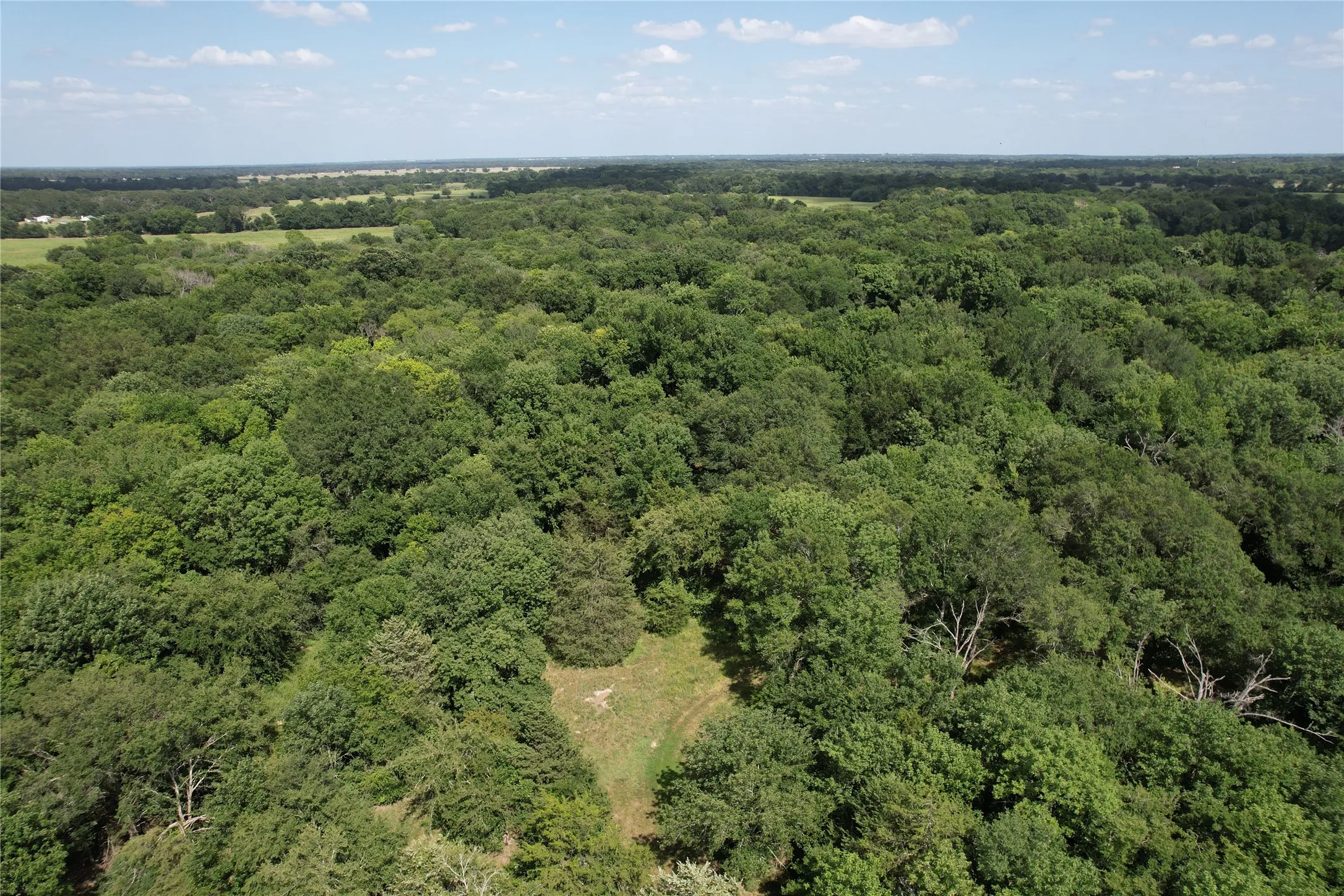Unimproved Land For Sale in Hopkins County , TBD County Road 4719, Cumby, Texas 75433, 0, 0, Garage spaces, 0 Sqft, built in 0, mls#21318213, Real Estate Agent in Cumby, Homes For Sale in Hopkins county, Homes For Sale in Cumby, Realtor in Cumby Texas, Real Estate Brokerage Independent Realty Texas, Luminita Cordes Realtor
