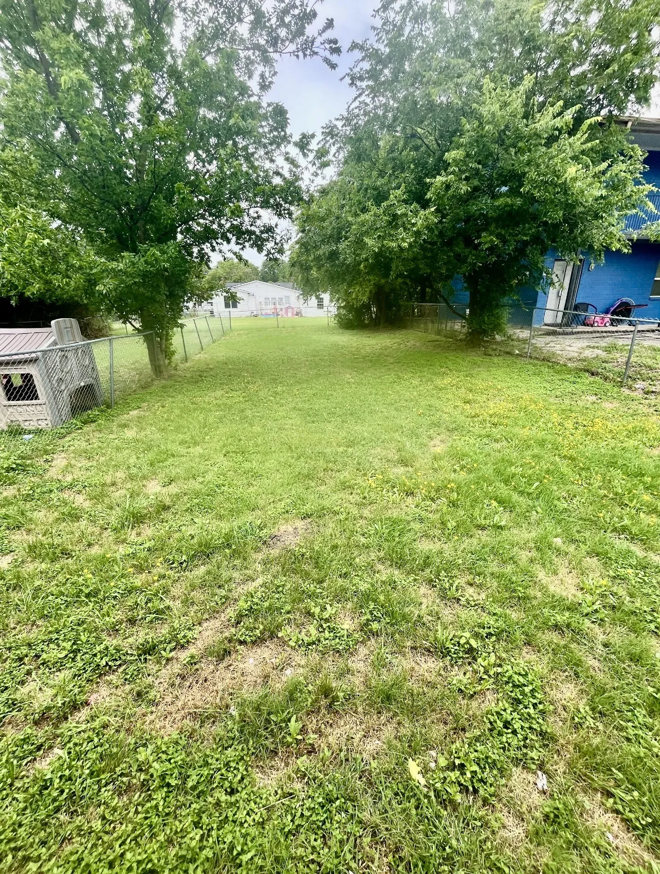 View of fenced backyard