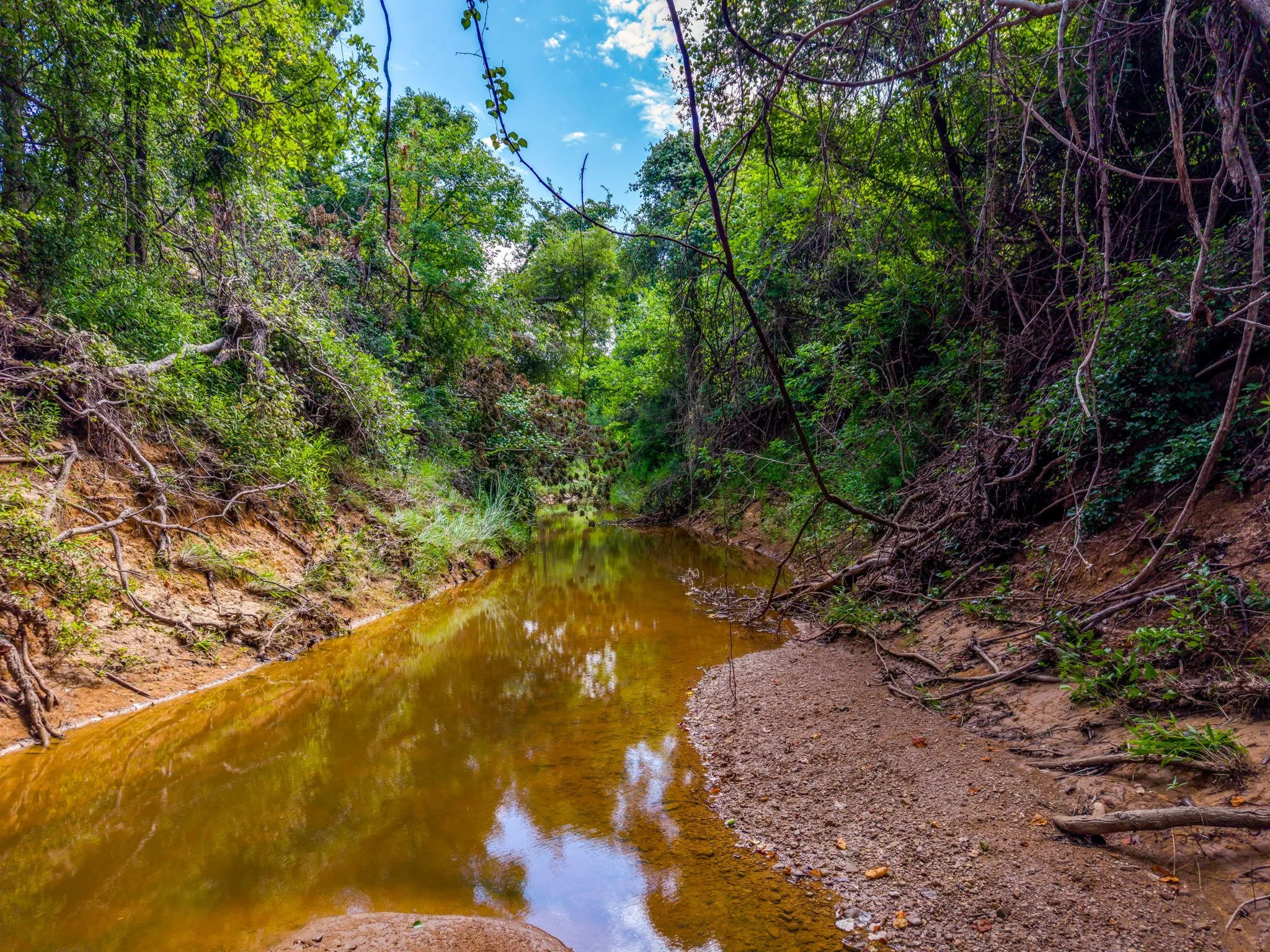 Improved Land For Sale in Erath County , 10413 County Road 136, Gordon, Texas 76453, 0, 0, Garage spaces, 0 Sqft, built in 2012, mls#21318544, Real Estate Agent in Gordon, Homes For Sale in Erath county, Homes For Sale in Gordon, Realtor in Gordon Texas, Real Estate Brokerage Independent Realty Texas, Luminita Cordes Realtor