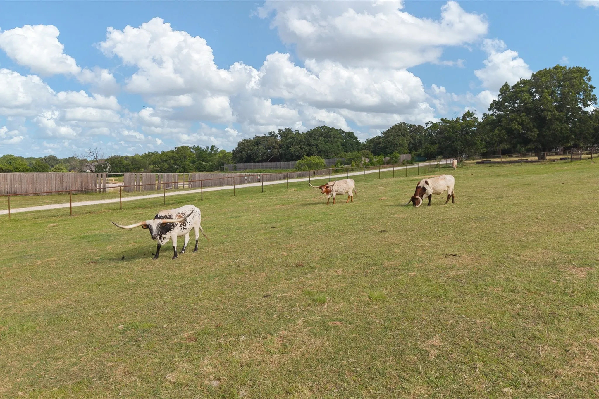 Retail For Sale in Johnson County , 6100 S Interstate 35 W, Alvarado, Texas 76009, 0, 0, Garage spaces, 0 Sqft, built in 1999, mls#21313042, Real Estate Agent in Alvarado, Homes For Sale in Johnson county, Homes For Sale in Alvarado, Realtor in Alvarado Texas, Real Estate Brokerage Independent Realty Texas, Luminita Cordes Realtor