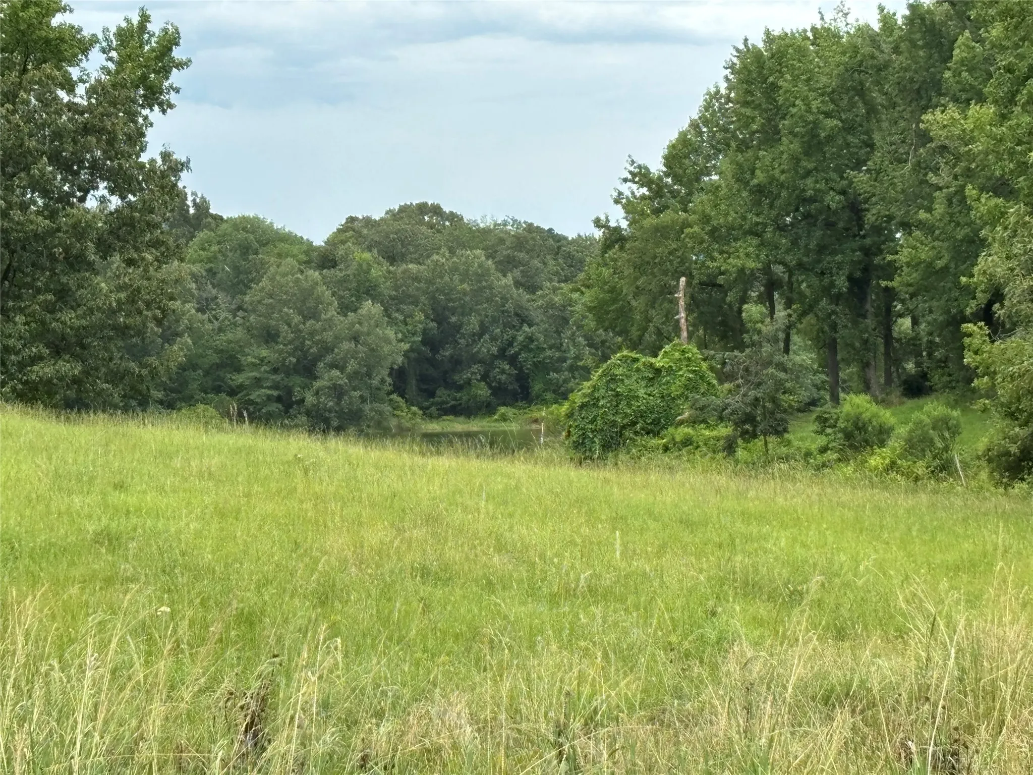Unimproved Land For Sale in Titus County , Lot 86 Pr 2712, Mt Pleasant, Texas 75455, 0, 0, Garage spaces, 0 Sqft, built in 0, Price $80,000, mls#21307332, Real Estate Agent in Mt Pleasant, Homes For Sale in Titus county, Homes For Sale in Mt Pleasant, Realtor in Mt Pleasant Texas, Real Estate Brokerage Independent Realty Texas, Luminita Cordes Realtor