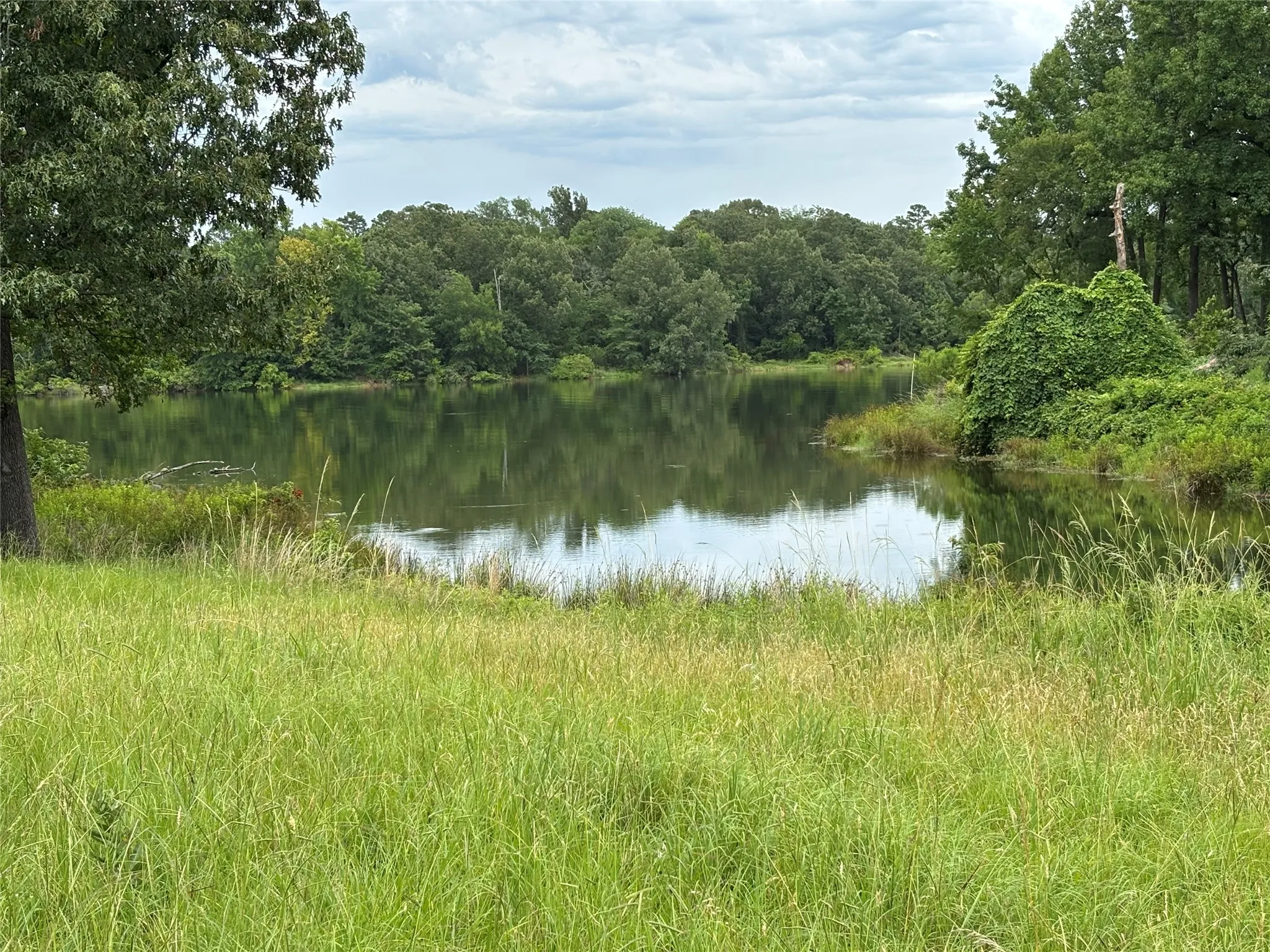 Unimproved Land For Sale in Titus County , Lot 86 Pr 2712, Mt Pleasant, Texas 75455, 0, 0, Garage spaces, 0 Sqft, built in 0, Price $80,000, mls#21307332, Real Estate Agent in Mt Pleasant, Homes For Sale in Titus county, Homes For Sale in Mt Pleasant, Realtor in Mt Pleasant Texas, Real Estate Brokerage Independent Realty Texas, Luminita Cordes Realtor