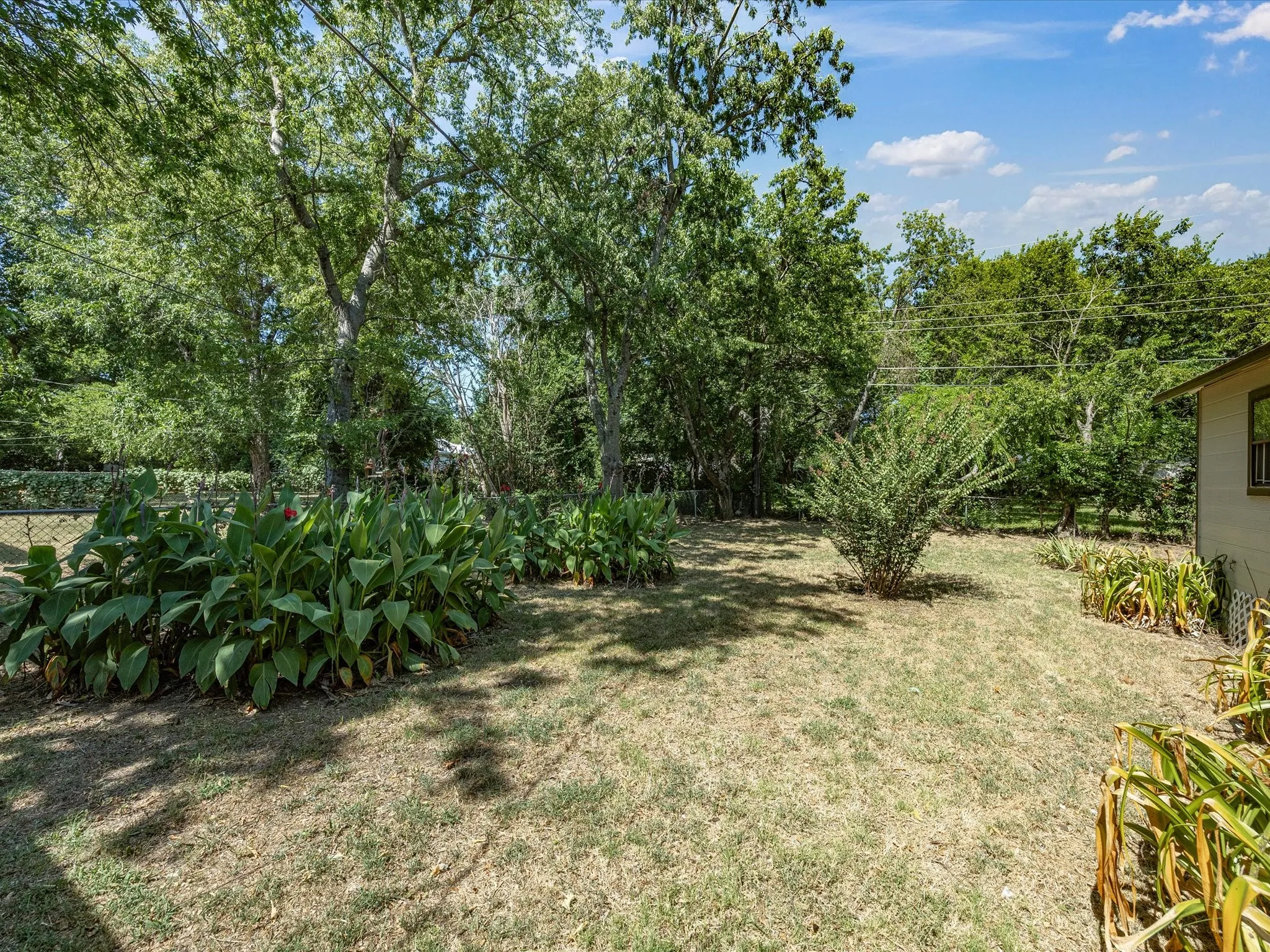 Expansive backyard featuring mature trees, a chain-link fence, and varied planting beds