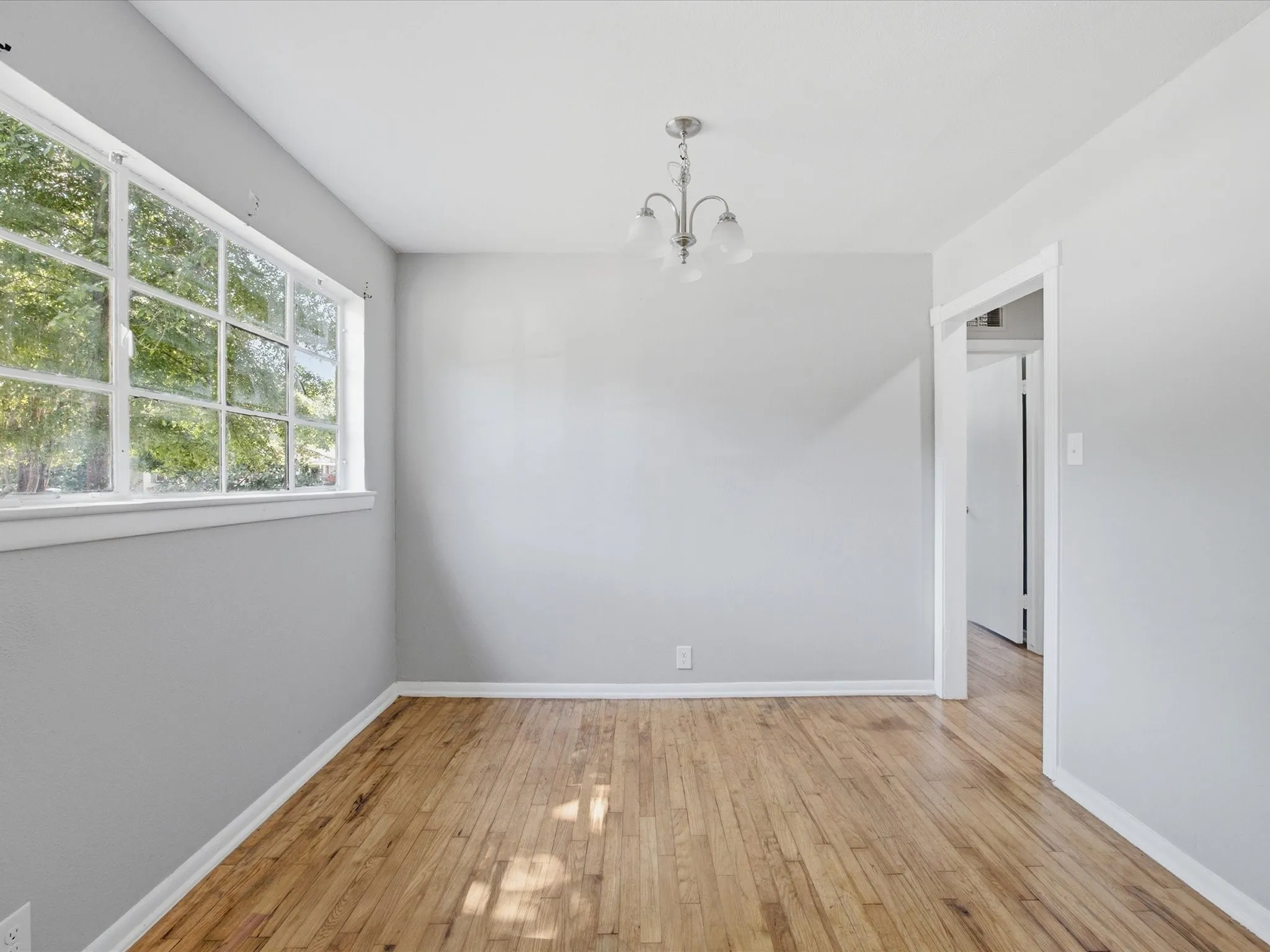 Bright interior space featuring wood-finish flooring, light grey walls, and a multi-pane window