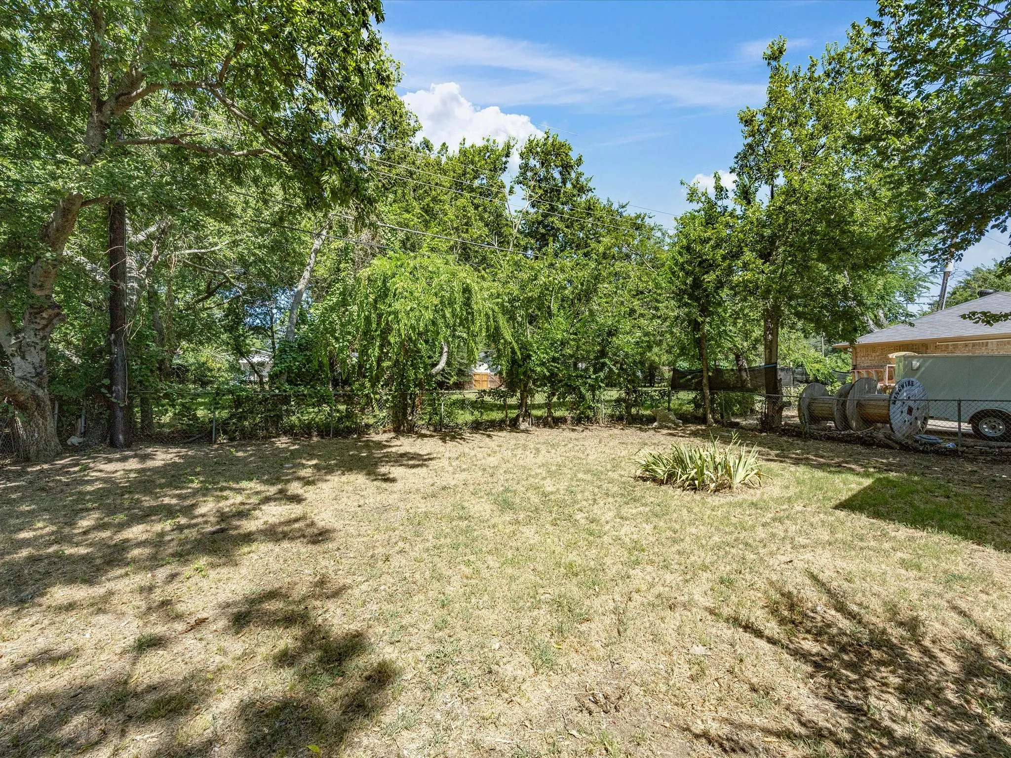 Expansive grassy yard area with partial tree canopy, featuring a variety of mature trees and a clear blue sky