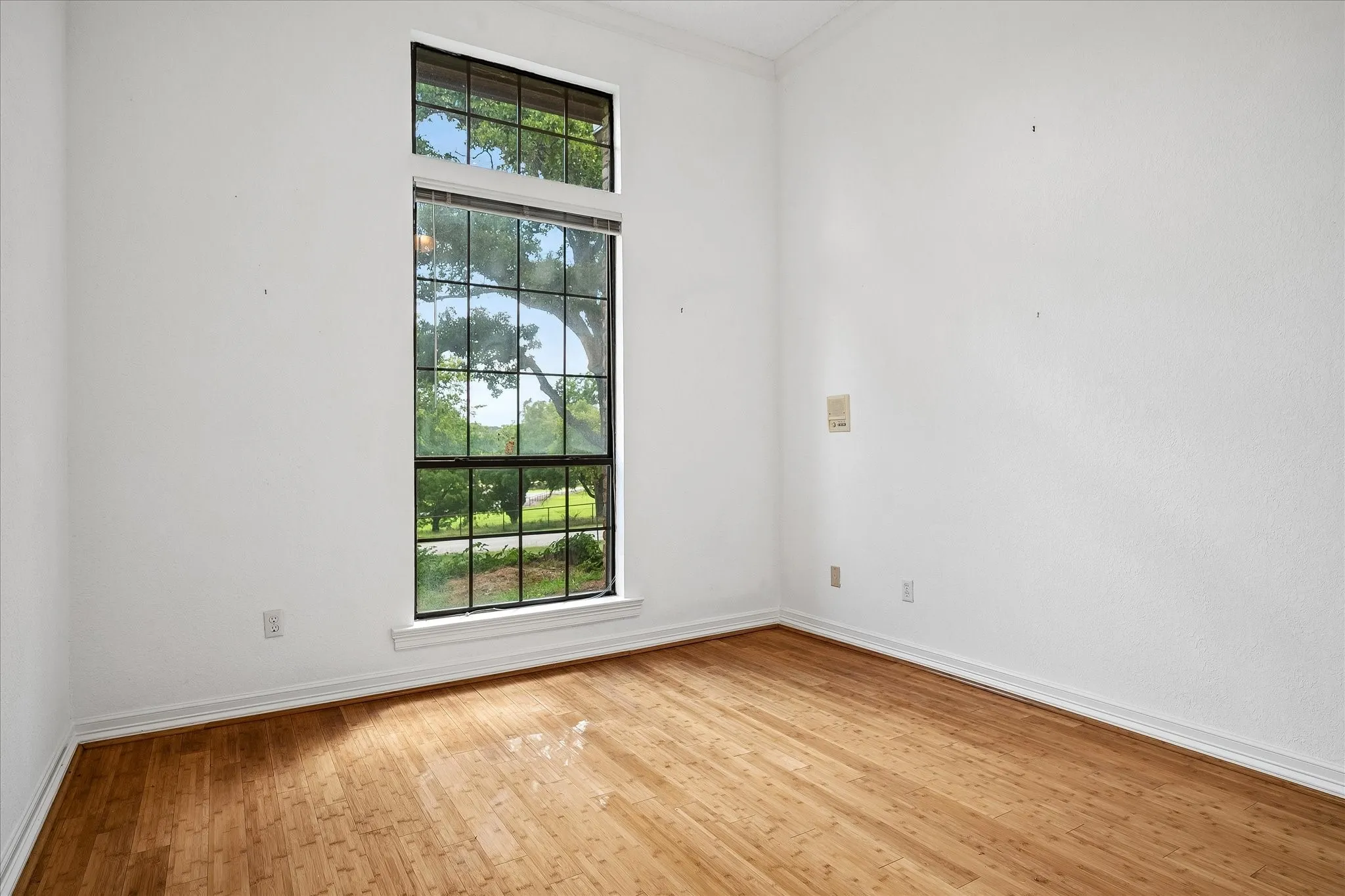 Room featuring wood-finish flooring, white walls, and a multi-pane window with transom
