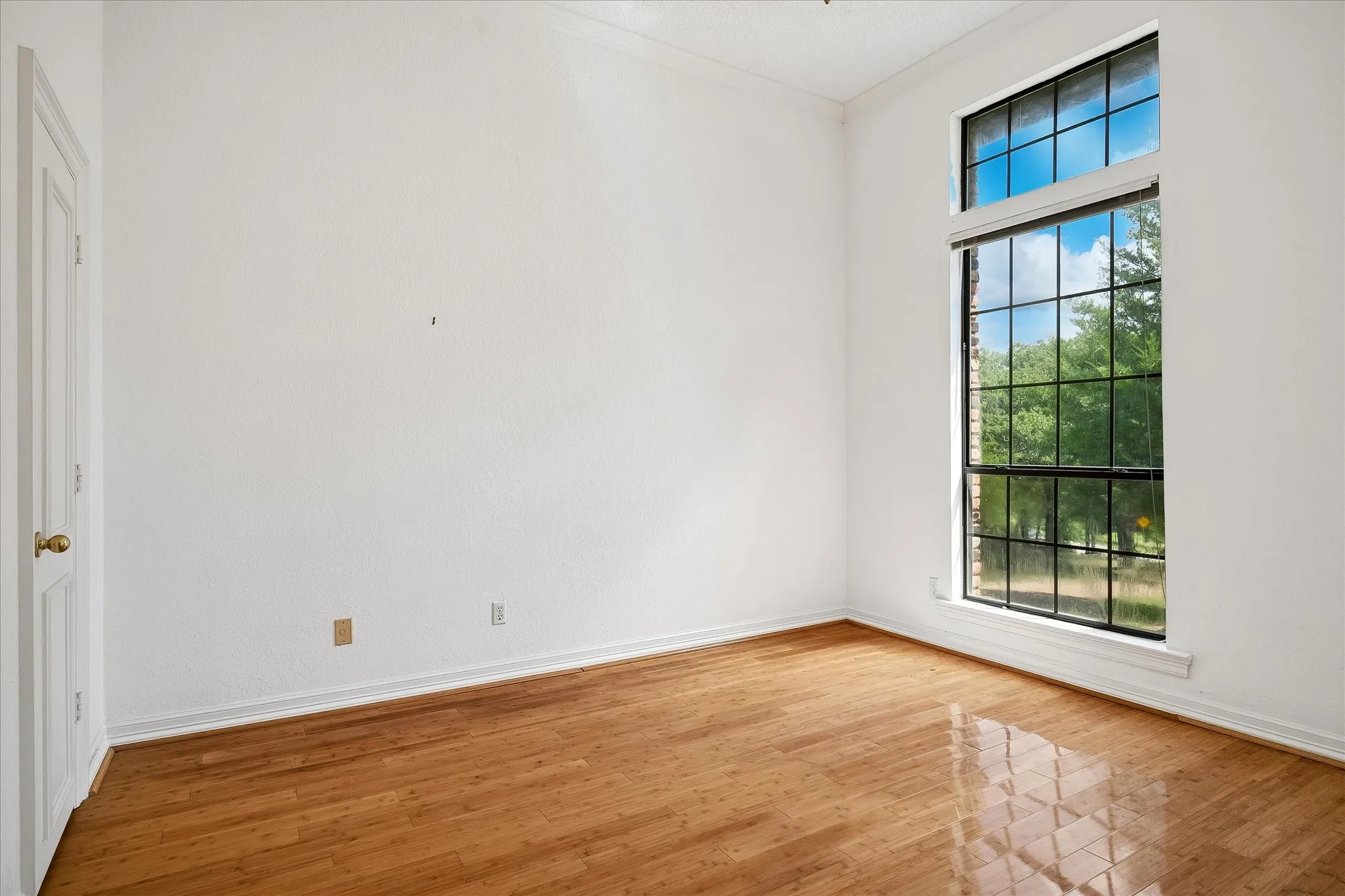 Room featuring wood-finish flooring, white baseboards, and a large multi-pane window