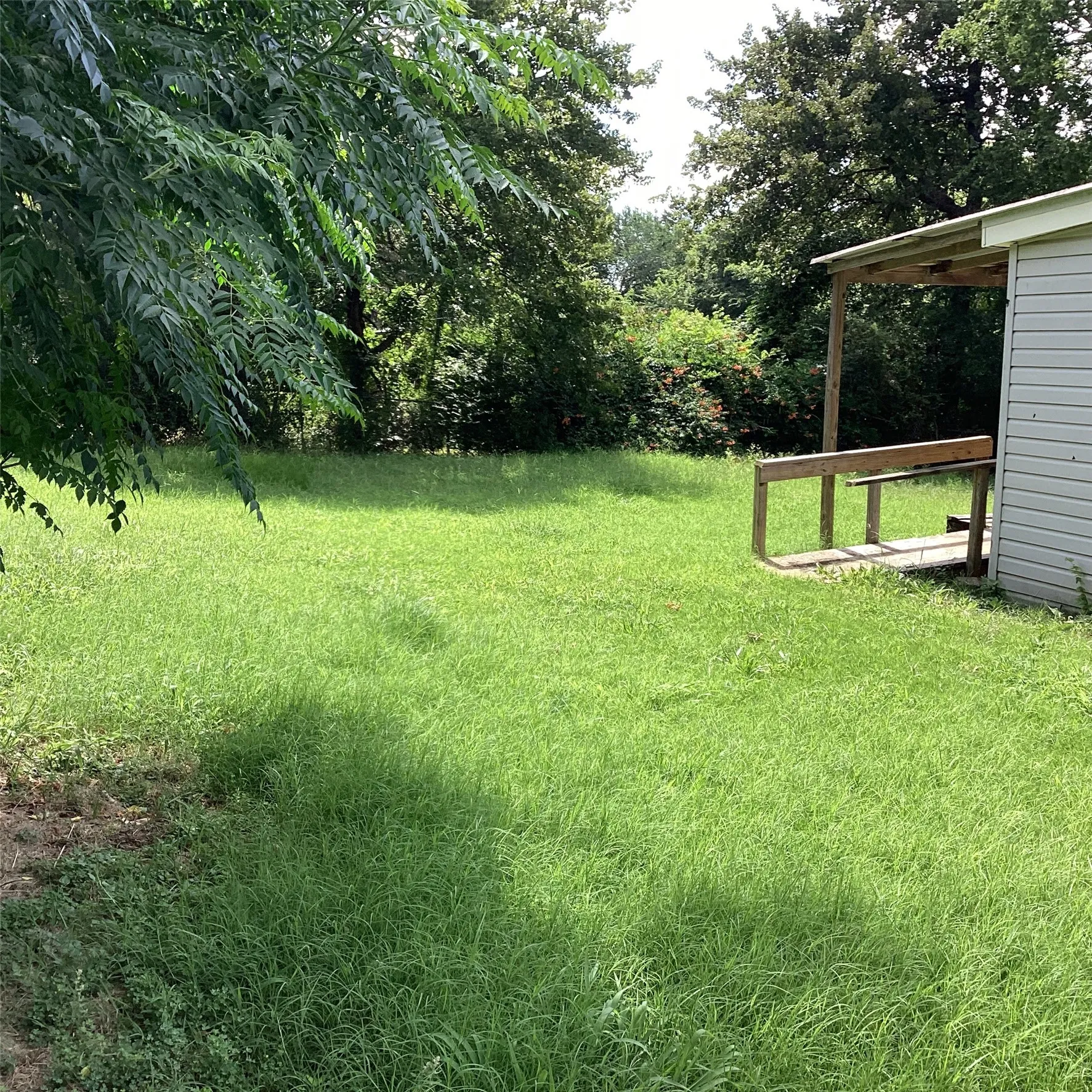 Side yard