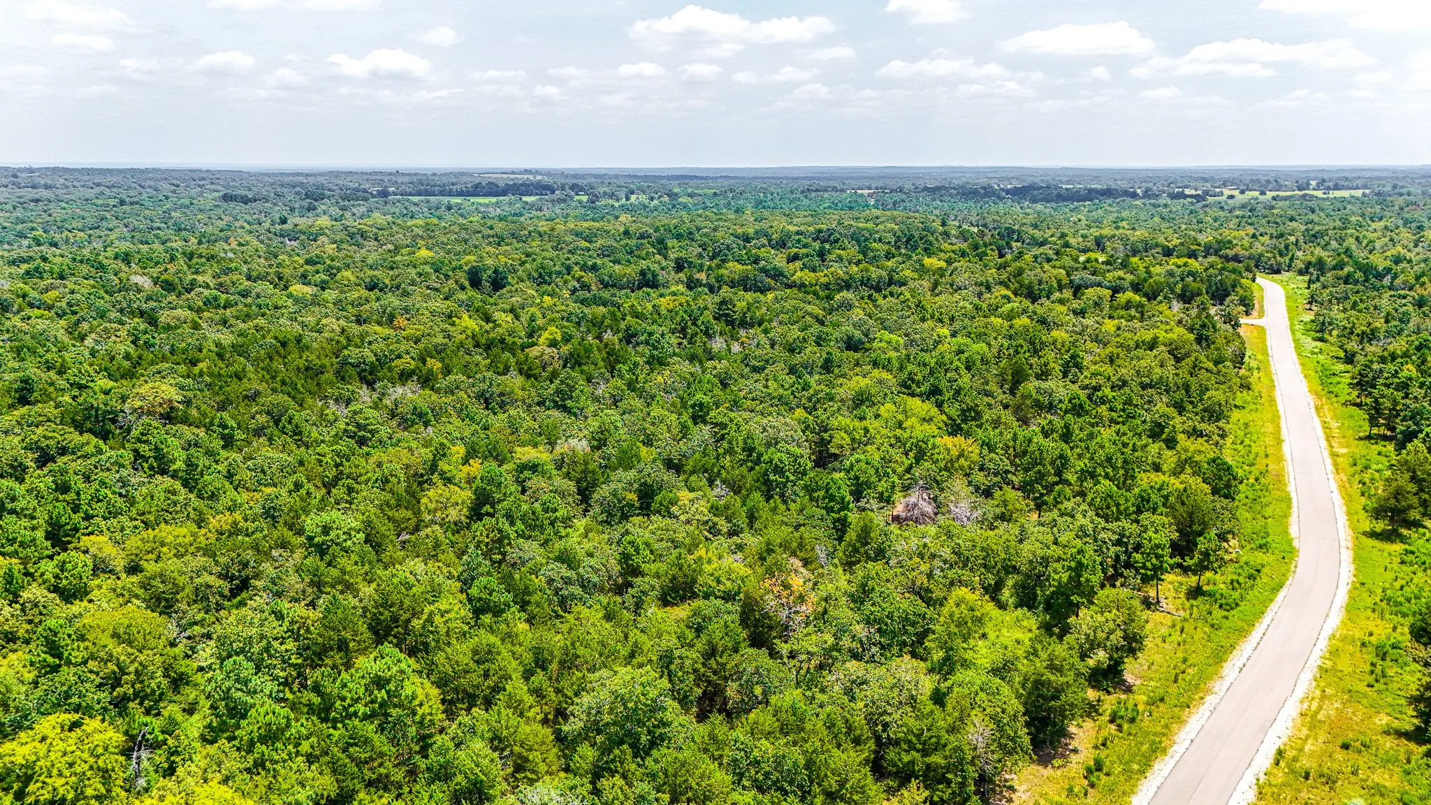 Unimproved Land For Sale in Freestone County , TBD Fm 489 E, Fairfield, Texas 75840, 0, 0, Garage spaces, 0 Sqft, built in 0, mls#21317204, Real Estate Agent in Fairfield, Homes For Sale in Freestone county, Homes For Sale in Fairfield, Realtor in Fairfield Texas, Real Estate Brokerage Independent Realty Texas, Luminita Cordes Realtor