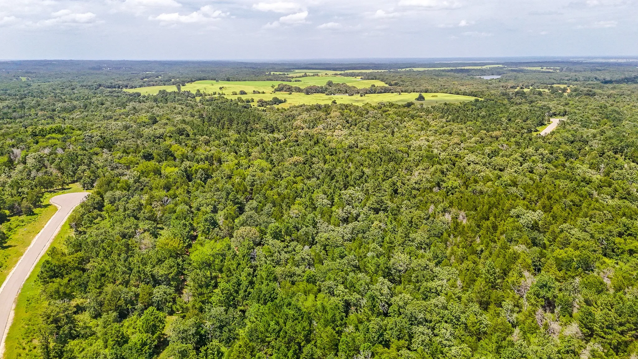 Unimproved Land For Sale in Freestone County , TBD Fm 489 E, Fairfield, Texas 75840, 0, 0, Garage spaces, 0 Sqft, built in 0, mls#21317204, Real Estate Agent in Fairfield, Homes For Sale in Freestone county, Homes For Sale in Fairfield, Realtor in Fairfield Texas, Real Estate Brokerage Independent Realty Texas, Luminita Cordes Realtor