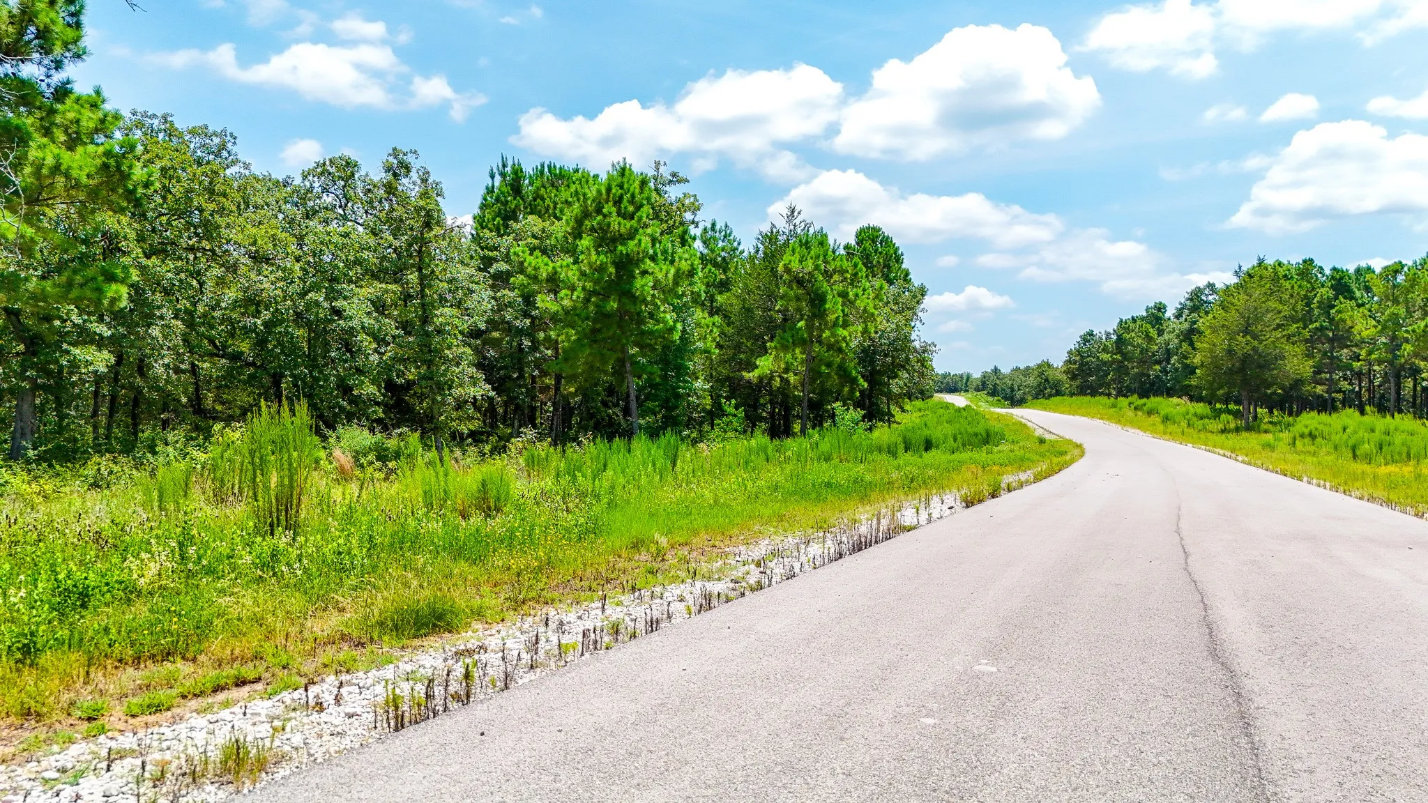 Unimproved Land For Sale in Freestone County , TBD Fm 489 E, Fairfield, Texas 75840, 0, 0, Garage spaces, 0 Sqft, built in 0, mls#21317204, Real Estate Agent in Fairfield, Homes For Sale in Freestone county, Homes For Sale in Fairfield, Realtor in Fairfield Texas, Real Estate Brokerage Independent Realty Texas, Luminita Cordes Realtor
