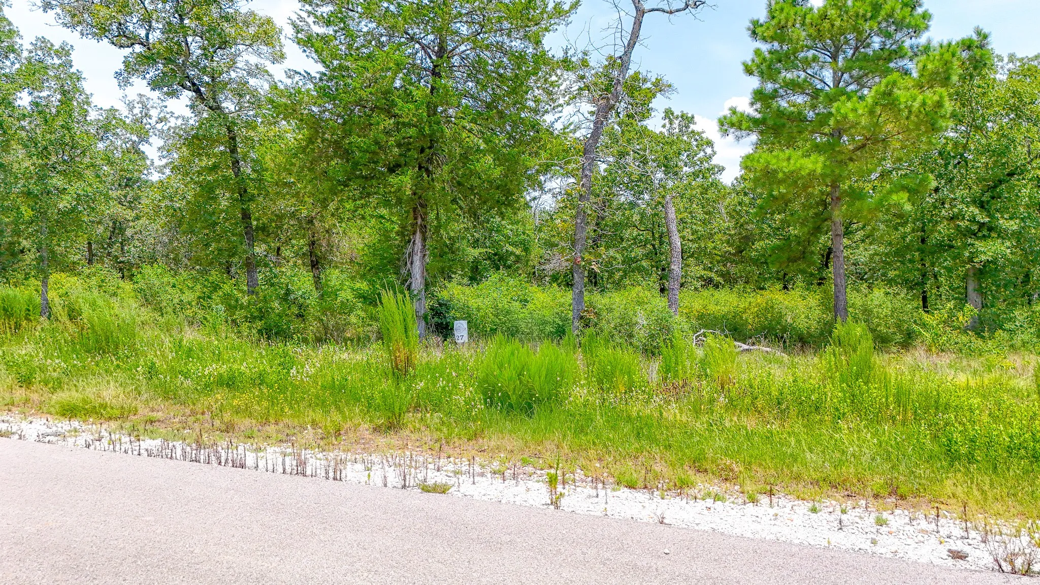 Unimproved Land For Sale in Freestone County , TBD Fm 489 E, Fairfield, Texas 75840, 0, 0, Garage spaces, 0 Sqft, built in 0, mls#21317204, Real Estate Agent in Fairfield, Homes For Sale in Freestone county, Homes For Sale in Fairfield, Realtor in Fairfield Texas, Real Estate Brokerage Independent Realty Texas, Luminita Cordes Realtor