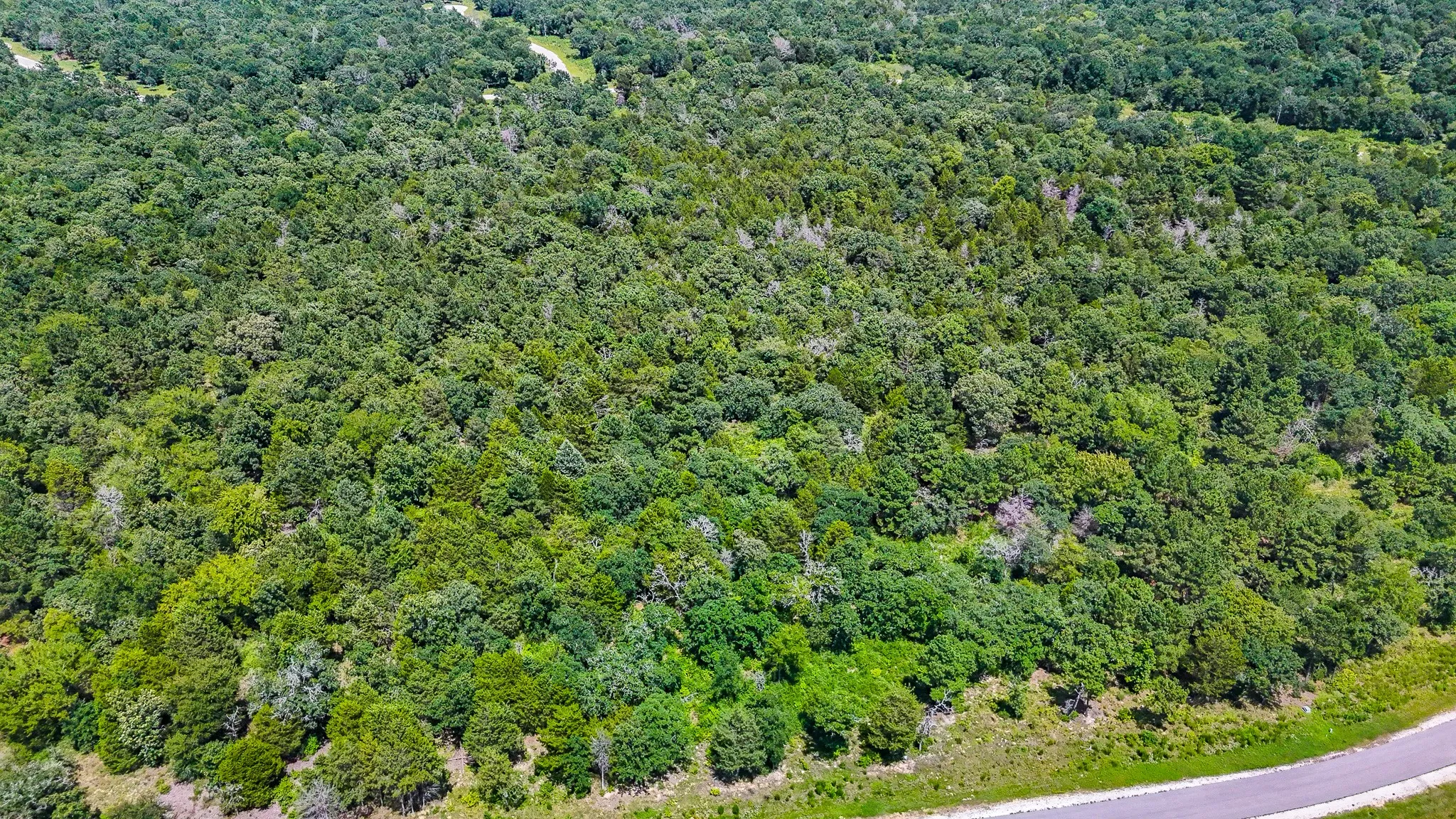 Unimproved Land For Sale in Freestone County , TBD Fm 489 E, Fairfield, Texas 75840, 0, 0, Garage spaces, 0 Sqft, built in 0, mls#21317204, Real Estate Agent in Fairfield, Homes For Sale in Freestone county, Homes For Sale in Fairfield, Realtor in Fairfield Texas, Real Estate Brokerage Independent Realty Texas, Luminita Cordes Realtor