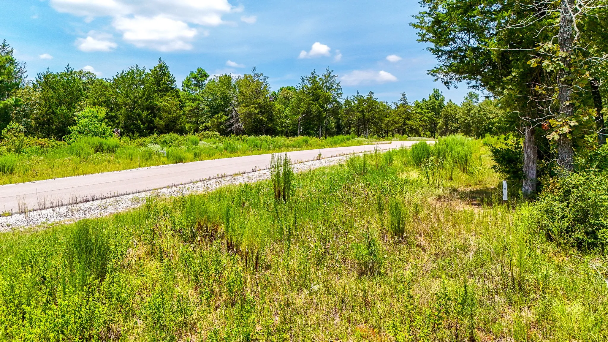 Unimproved Land For Sale in Freestone County , TBD Fm 489 E, Fairfield, Texas 75840, 0, 0, Garage spaces, 0 Sqft, built in 0, mls#21317204, Real Estate Agent in Fairfield, Homes For Sale in Freestone county, Homes For Sale in Fairfield, Realtor in Fairfield Texas, Real Estate Brokerage Independent Realty Texas, Luminita Cordes Realtor
