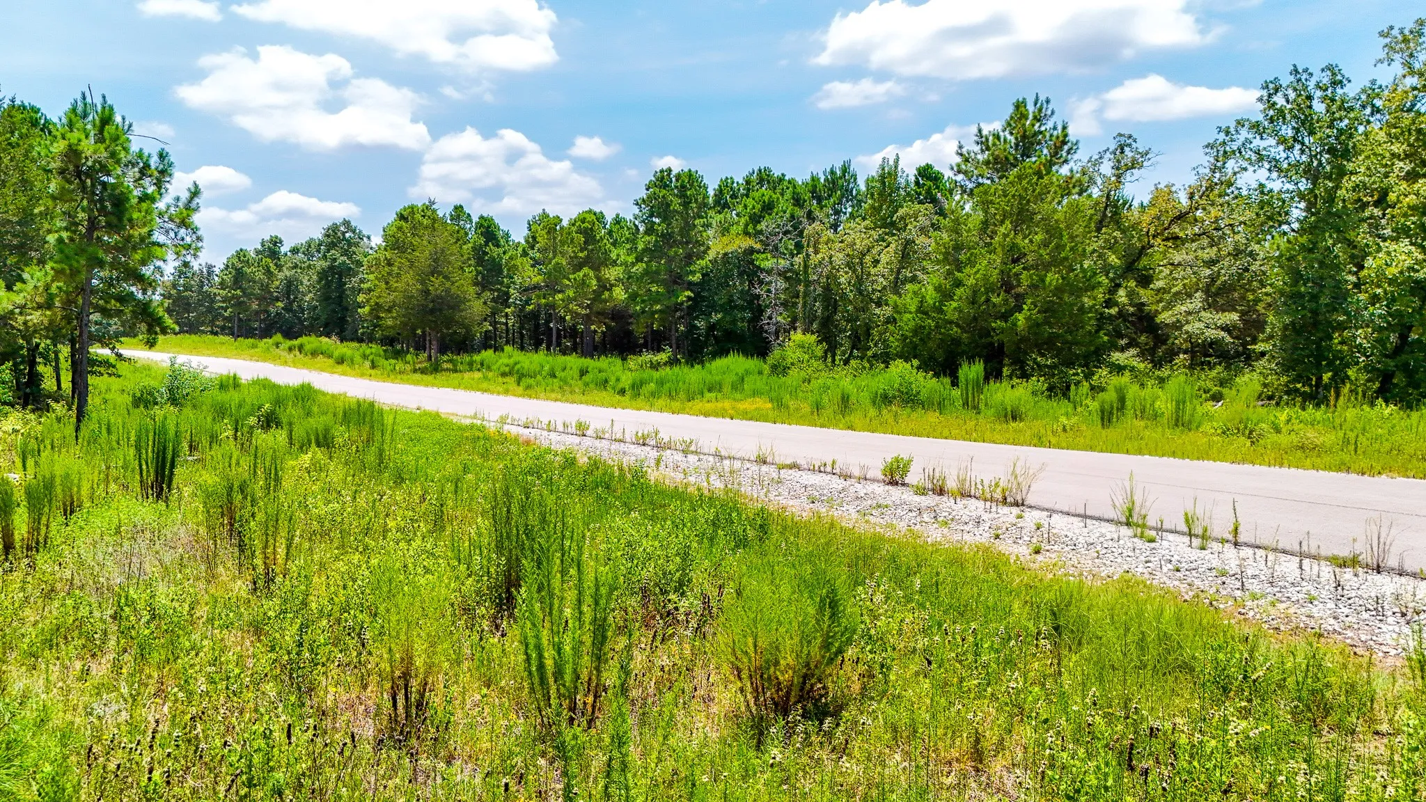 Unimproved Land For Sale in Freestone County , TBD Fm 489 E, Fairfield, Texas 75840, 0, 0, Garage spaces, 0 Sqft, built in 0, mls#21317204, Real Estate Agent in Fairfield, Homes For Sale in Freestone county, Homes For Sale in Fairfield, Realtor in Fairfield Texas, Real Estate Brokerage Independent Realty Texas, Luminita Cordes Realtor