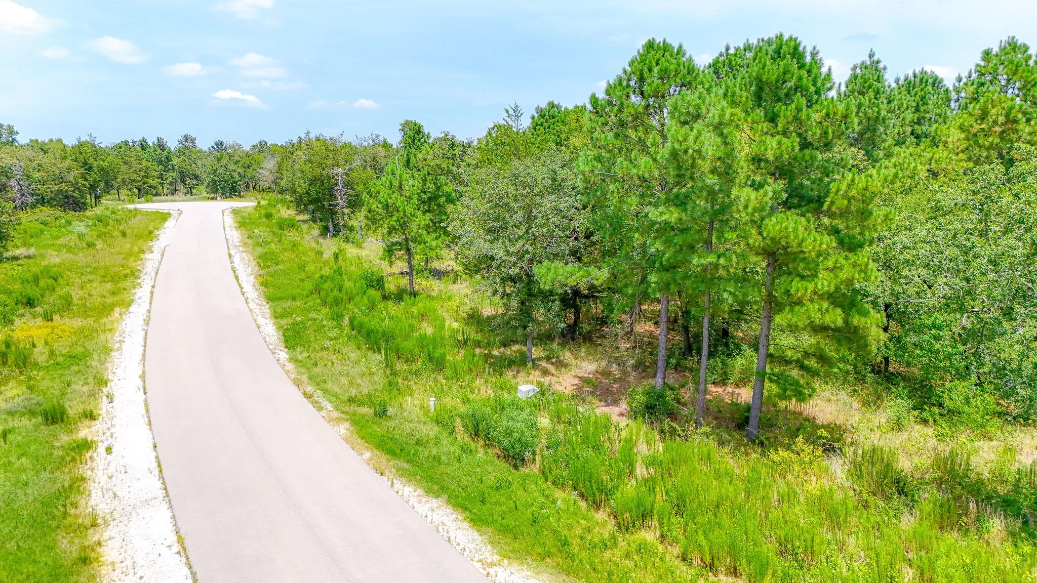 Unimproved Land For Sale in Freestone County , TBD Fm 489 E, Fairfield, Texas 75840, 0, 0, Garage spaces, 0 Sqft, built in 0, mls#21317204, Real Estate Agent in Fairfield, Homes For Sale in Freestone county, Homes For Sale in Fairfield, Realtor in Fairfield Texas, Real Estate Brokerage Independent Realty Texas, Luminita Cordes Realtor
