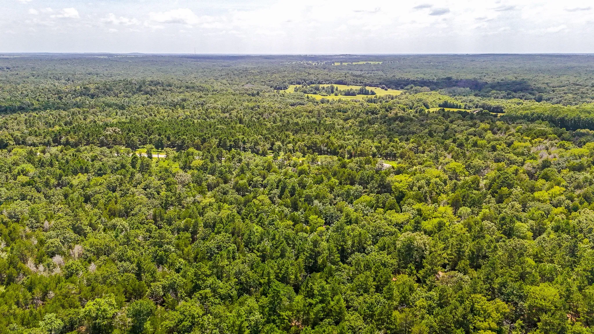 Unimproved Land For Sale in Freestone County , TBD Fm 489 E, Fairfield, Texas 75840, 0, 0, Garage spaces, 0 Sqft, built in 0, mls#21317204, Real Estate Agent in Fairfield, Homes For Sale in Freestone county, Homes For Sale in Fairfield, Realtor in Fairfield Texas, Real Estate Brokerage Independent Realty Texas, Luminita Cordes Realtor