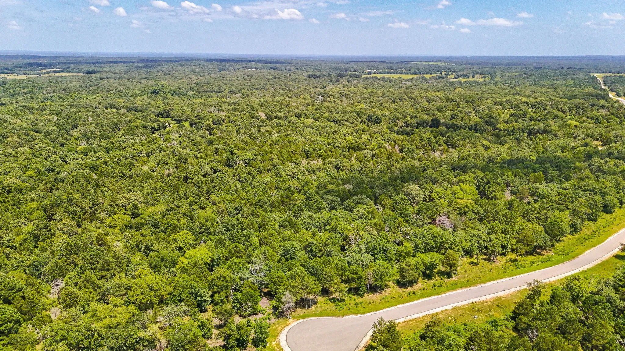 Unimproved Land For Sale in Freestone County , TBD Fm 489 E, Fairfield, Texas 75840, 0, 0, Garage spaces, 0 Sqft, built in 0, mls#21317204, Real Estate Agent in Fairfield, Homes For Sale in Freestone county, Homes For Sale in Fairfield, Realtor in Fairfield Texas, Real Estate Brokerage Independent Realty Texas, Luminita Cordes Realtor