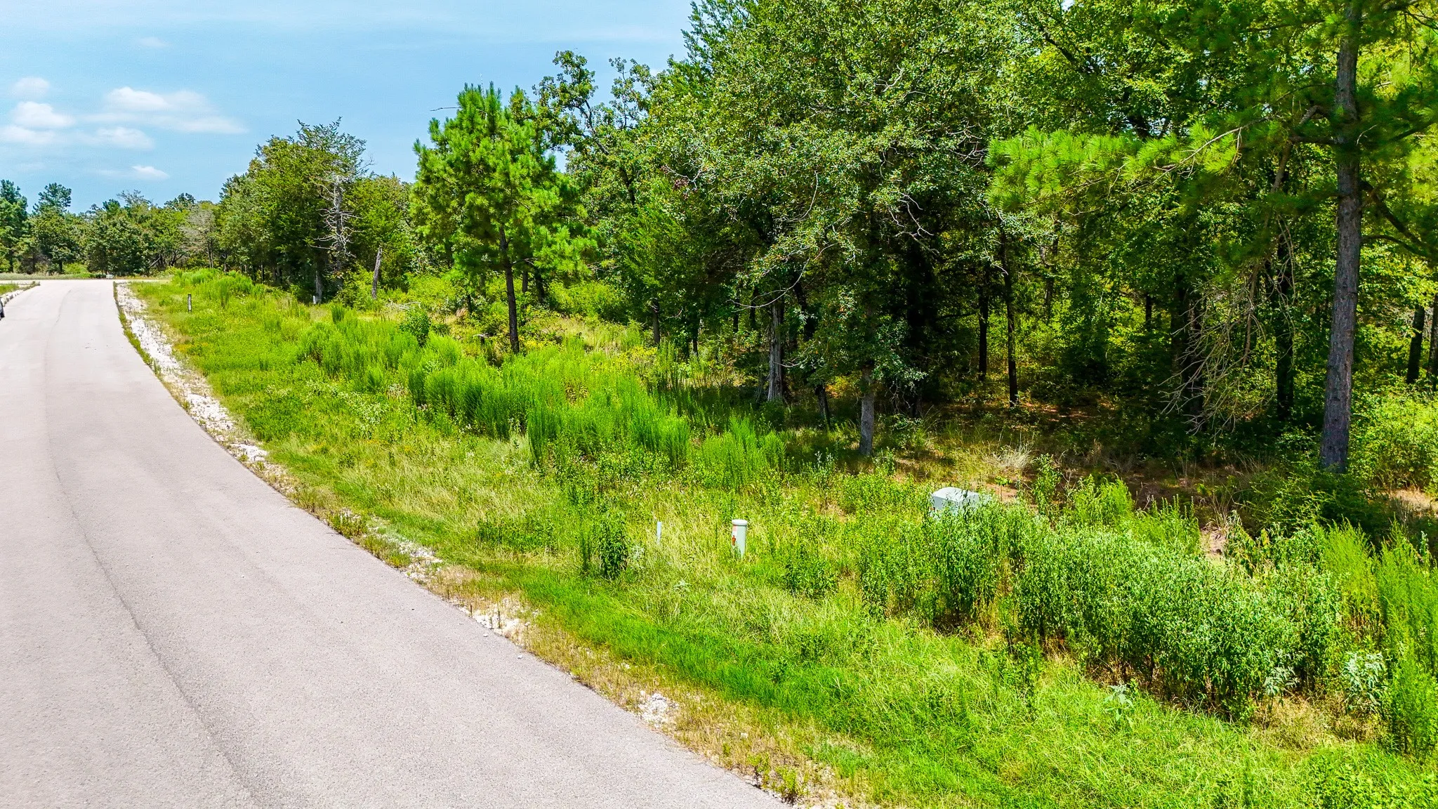Unimproved Land For Sale in Freestone County , TBD Fm 489 E, Fairfield, Texas 75840, 0, 0, Garage spaces, 0 Sqft, built in 0, mls#21317204, Real Estate Agent in Fairfield, Homes For Sale in Freestone county, Homes For Sale in Fairfield, Realtor in Fairfield Texas, Real Estate Brokerage Independent Realty Texas, Luminita Cordes Realtor