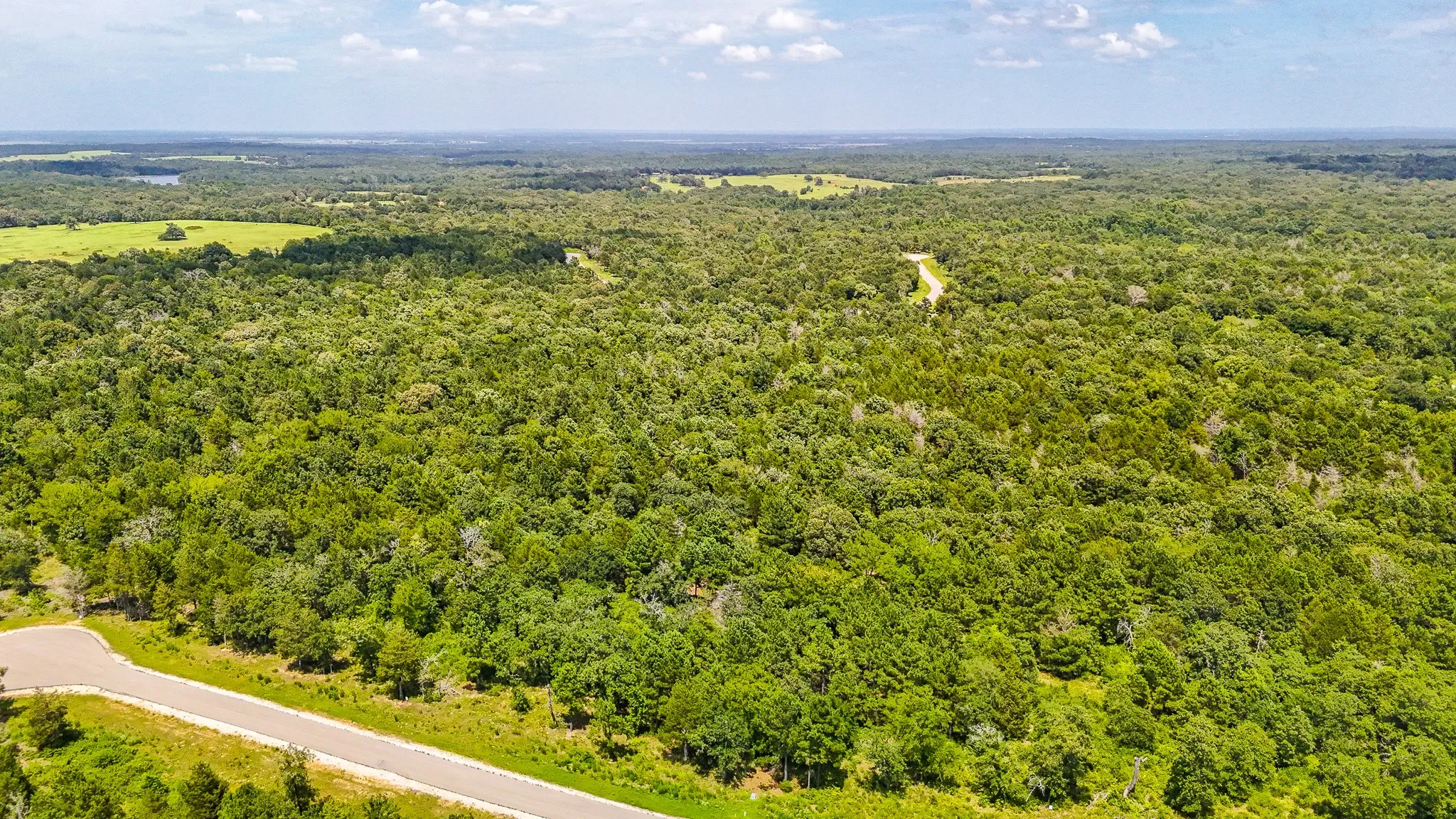 Unimproved Land For Sale in Freestone County , TBD Fm 489 E, Fairfield, Texas 75840, 0, 0, Garage spaces, 0 Sqft, built in 0, mls#21317204, Real Estate Agent in Fairfield, Homes For Sale in Freestone county, Homes For Sale in Fairfield, Realtor in Fairfield Texas, Real Estate Brokerage Independent Realty Texas, Luminita Cordes Realtor