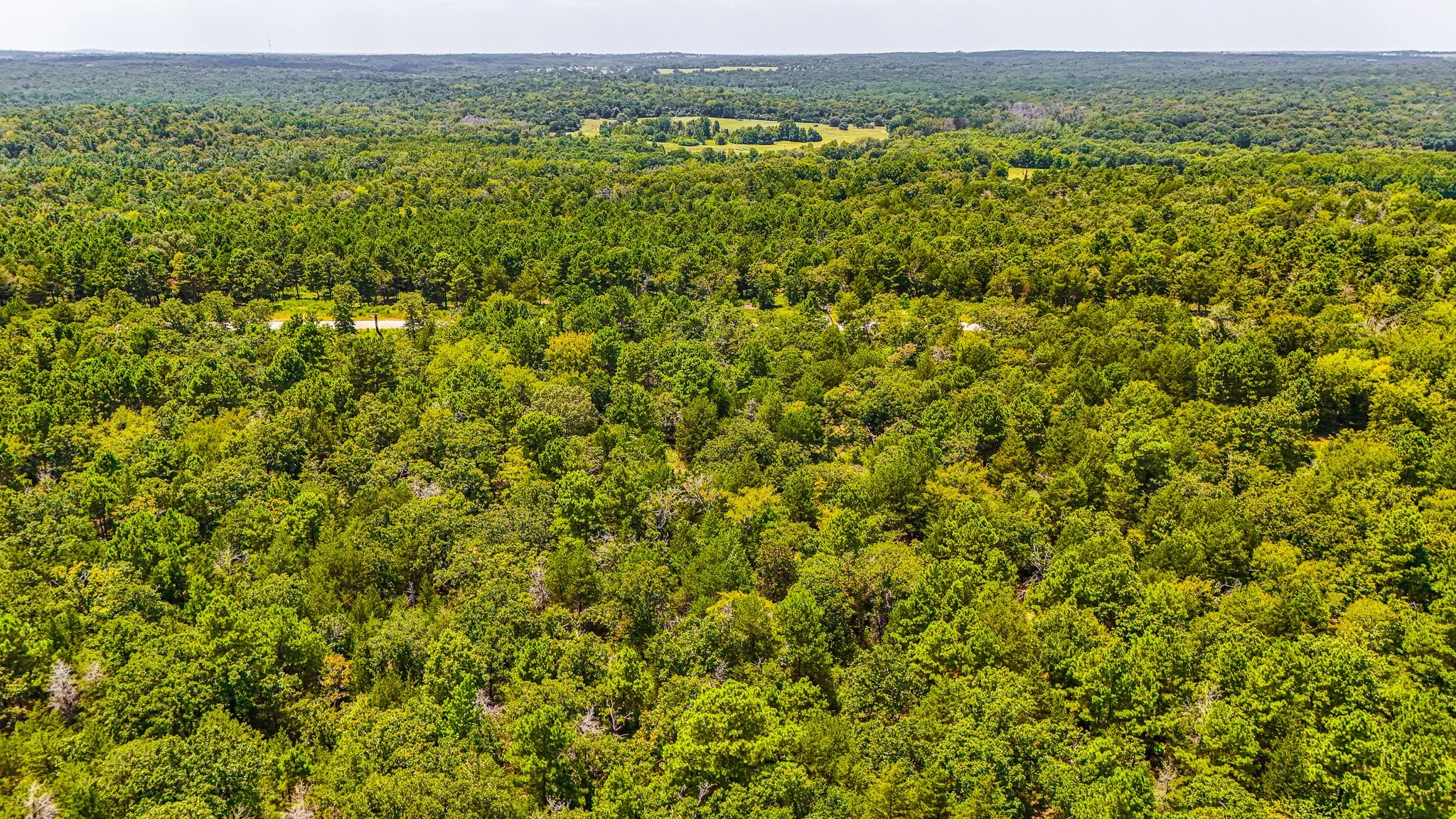 Unimproved Land For Sale in Freestone County , TBD Fm 489 E, Fairfield, Texas 75840, 0, 0, Garage spaces, 0 Sqft, built in 0, mls#21317204, Real Estate Agent in Fairfield, Homes For Sale in Freestone county, Homes For Sale in Fairfield, Realtor in Fairfield Texas, Real Estate Brokerage Independent Realty Texas, Luminita Cordes Realtor