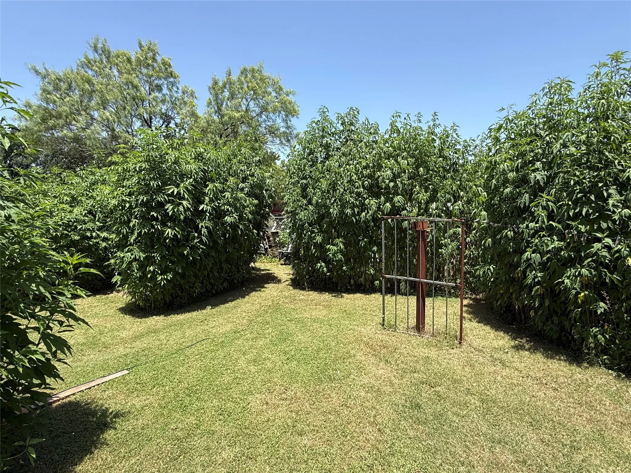 Single Family Residence For Sale in Brown County , 2803 Avenue C, Brownwood, Texas 76801, 3 Bedroom, 1 Bathroom, Garage spaces, 1,026 Sqft, built in 0, mls#21318784, Real Estate Agent in Brownwood, Homes For Sale in Brown county, Homes For Sale in Brownwood, Realtor in Brownwood Texas, Real Estate Brokerage Independent Realty Texas, Luminita Cordes Realtor