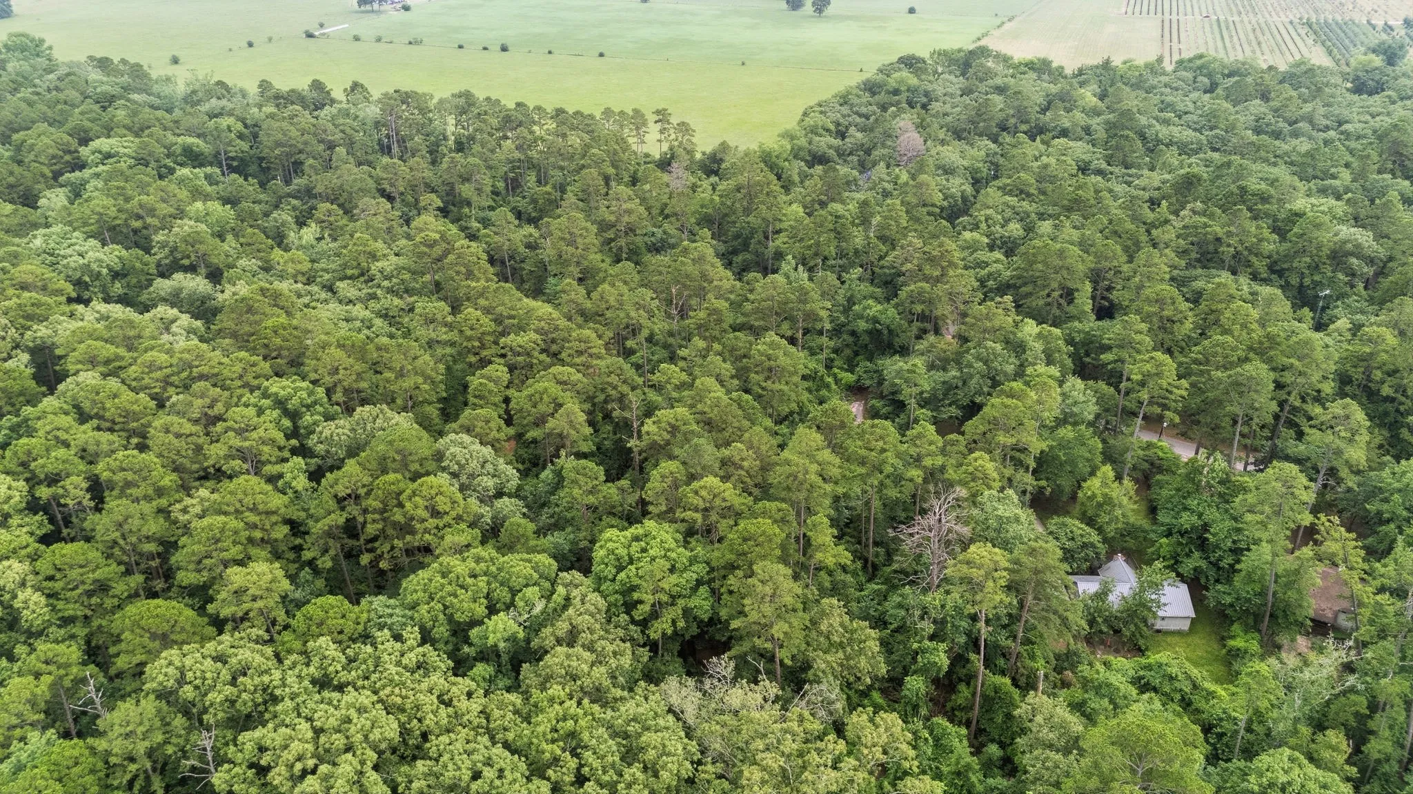 Unimproved Land For Sale in Wood County , TBD Valleywood Cove, Holly Lake Ranch, Texas 75765, 0, 0, Garage spaces, 0 Sqft, built in 0, mls#21311785, Real Estate Agent in Holly Lake Ranch, Homes For Sale in Wood county, Homes For Sale in Holly Lake Ranch, Realtor in Holly Lake Ranch Texas, Real Estate Brokerage Independent Realty Texas, Luminita Cordes Realtor