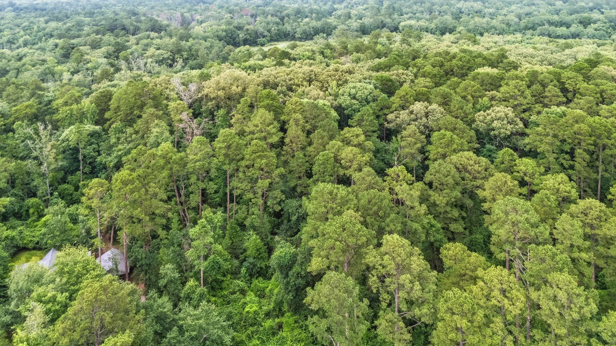 Unimproved Land For Sale in Wood County , TBD Valleywood Cove, Holly Lake Ranch, Texas 75765, 0, 0, Garage spaces, 0 Sqft, built in 0, mls#21311785, Real Estate Agent in Holly Lake Ranch, Homes For Sale in Wood county, Homes For Sale in Holly Lake Ranch, Realtor in Holly Lake Ranch Texas, Real Estate Brokerage Independent Realty Texas, Luminita Cordes Realtor