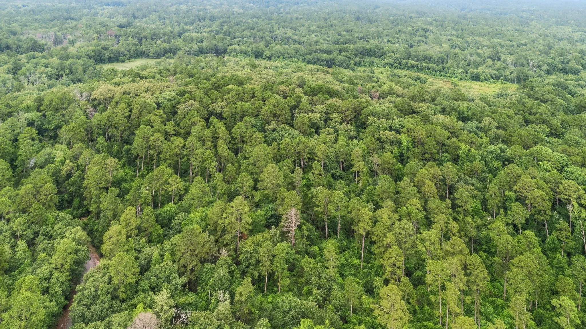 Unimproved Land For Sale in Wood County , TBD Valleywood Cove, Holly Lake Ranch, Texas 75765, 0, 0, Garage spaces, 0 Sqft, built in 0, mls#21311785, Real Estate Agent in Holly Lake Ranch, Homes For Sale in Wood county, Homes For Sale in Holly Lake Ranch, Realtor in Holly Lake Ranch Texas, Real Estate Brokerage Independent Realty Texas, Luminita Cordes Realtor