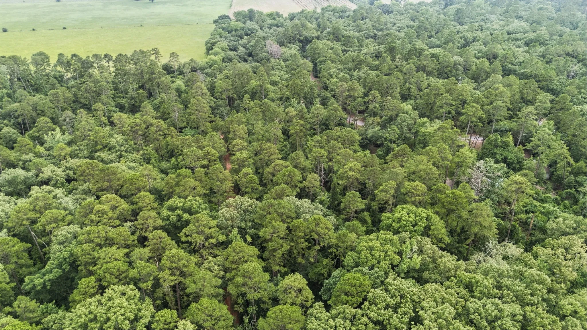 Unimproved Land For Sale in Wood County , TBD Valleywood Cove, Holly Lake Ranch, Texas 75765, 0, 0, Garage spaces, 0 Sqft, built in 0, mls#21311785, Real Estate Agent in Holly Lake Ranch, Homes For Sale in Wood county, Homes For Sale in Holly Lake Ranch, Realtor in Holly Lake Ranch Texas, Real Estate Brokerage Independent Realty Texas, Luminita Cordes Realtor