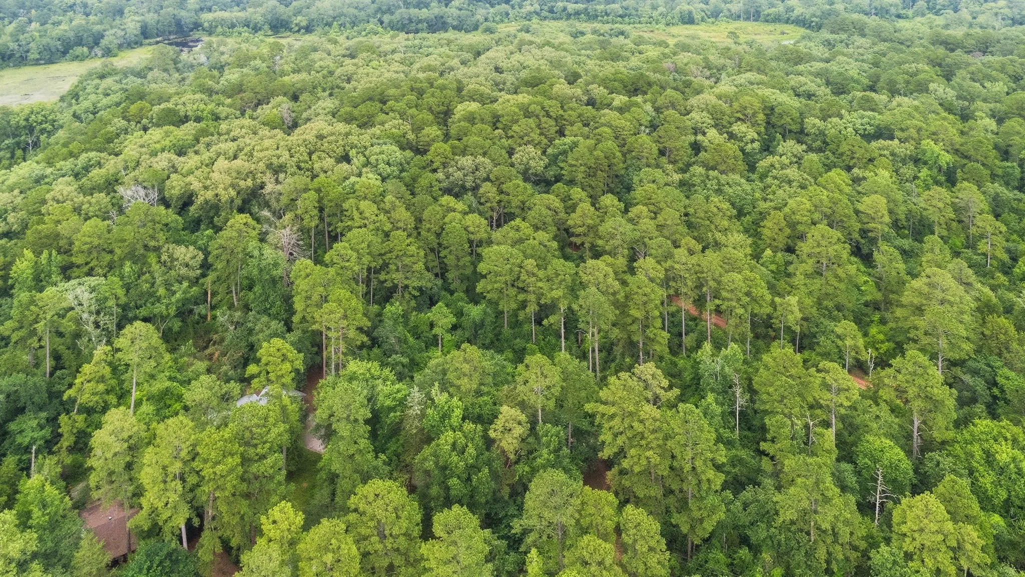 Unimproved Land For Sale in Wood County , TBD Valleywood Cove, Holly Lake Ranch, Texas 75765, 0, 0, Garage spaces, 0 Sqft, built in 0, mls#21311785, Real Estate Agent in Holly Lake Ranch, Homes For Sale in Wood county, Homes For Sale in Holly Lake Ranch, Realtor in Holly Lake Ranch Texas, Real Estate Brokerage Independent Realty Texas, Luminita Cordes Realtor