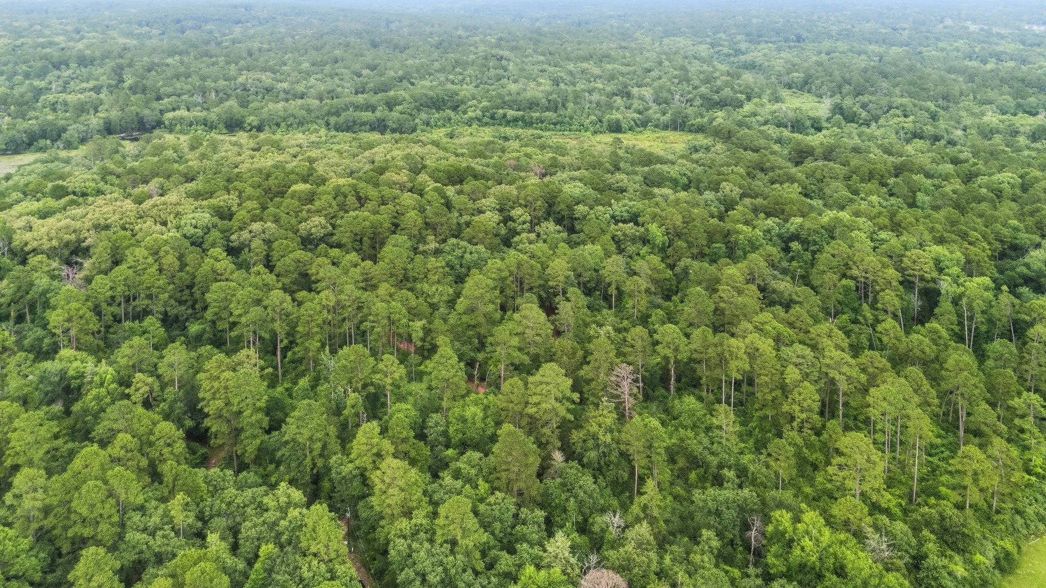 Unimproved Land For Sale in Wood County , TBD Valleywood Cove, Holly Lake Ranch, Texas 75765, 0, 0, Garage spaces, 0 Sqft, built in 0, mls#21311785, Real Estate Agent in Holly Lake Ranch, Homes For Sale in Wood county, Homes For Sale in Holly Lake Ranch, Realtor in Holly Lake Ranch Texas, Real Estate Brokerage Independent Realty Texas, Luminita Cordes Realtor
