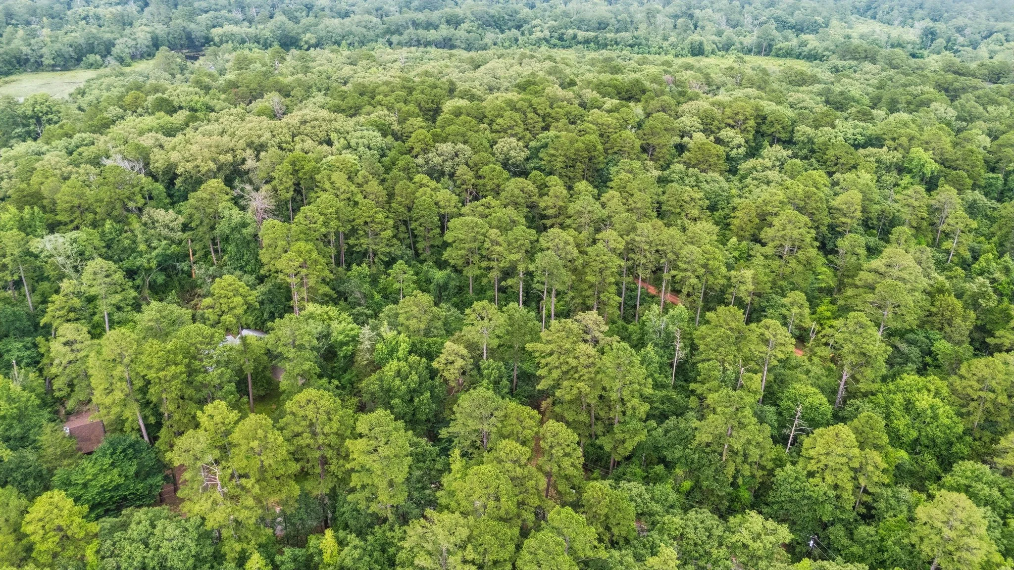 Unimproved Land For Sale in Wood County , TBD Valleywood Cove, Holly Lake Ranch, Texas 75765, 0, 0, Garage spaces, 0 Sqft, built in 0, mls#21311785, Real Estate Agent in Holly Lake Ranch, Homes For Sale in Wood county, Homes For Sale in Holly Lake Ranch, Realtor in Holly Lake Ranch Texas, Real Estate Brokerage Independent Realty Texas, Luminita Cordes Realtor