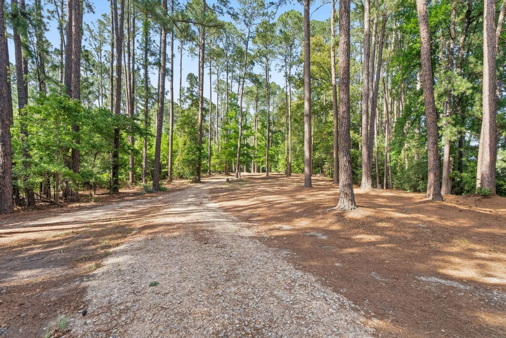 Unimproved Land For Sale in Wood County , TBD Valleywood Cove, Holly Lake Ranch, Texas 75765, 0, 0, Garage spaces, 0 Sqft, built in 0, mls#21311785, Real Estate Agent in Holly Lake Ranch, Homes For Sale in Wood county, Homes For Sale in Holly Lake Ranch, Realtor in Holly Lake Ranch Texas, Real Estate Brokerage Independent Realty Texas, Luminita Cordes Realtor