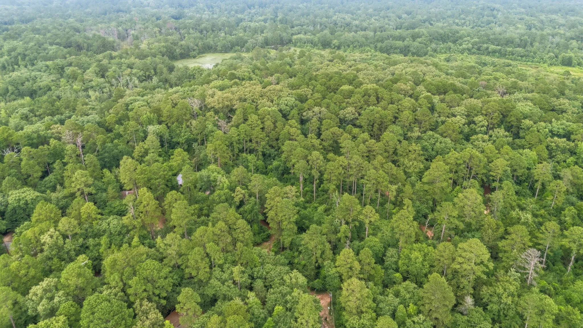 Unimproved Land For Sale in Wood County , TBD Valleywood Cove, Holly Lake Ranch, Texas 75765, 0, 0, Garage spaces, 0 Sqft, built in 0, mls#21311785, Real Estate Agent in Holly Lake Ranch, Homes For Sale in Wood county, Homes For Sale in Holly Lake Ranch, Realtor in Holly Lake Ranch Texas, Real Estate Brokerage Independent Realty Texas, Luminita Cordes Realtor