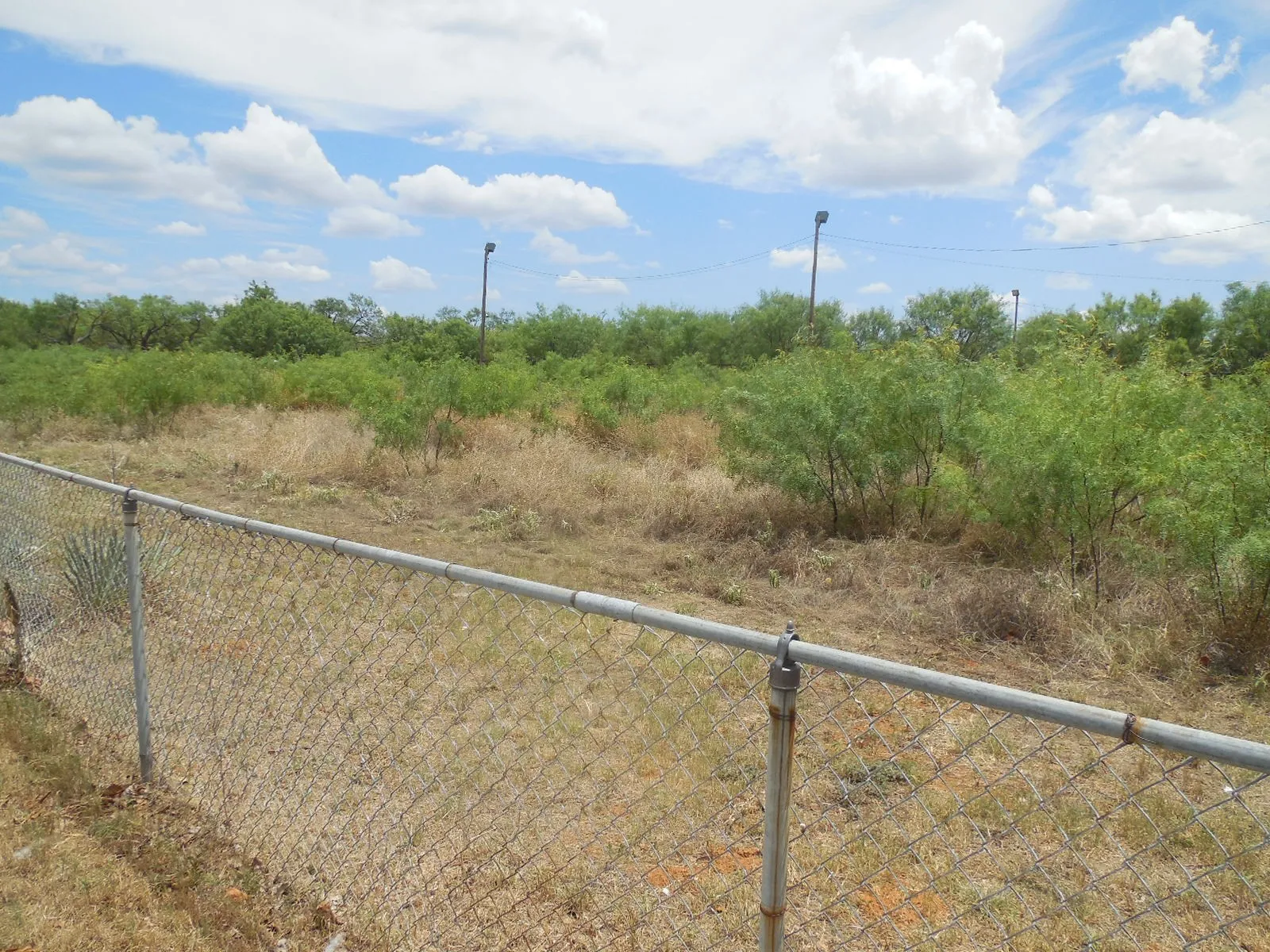 View of land