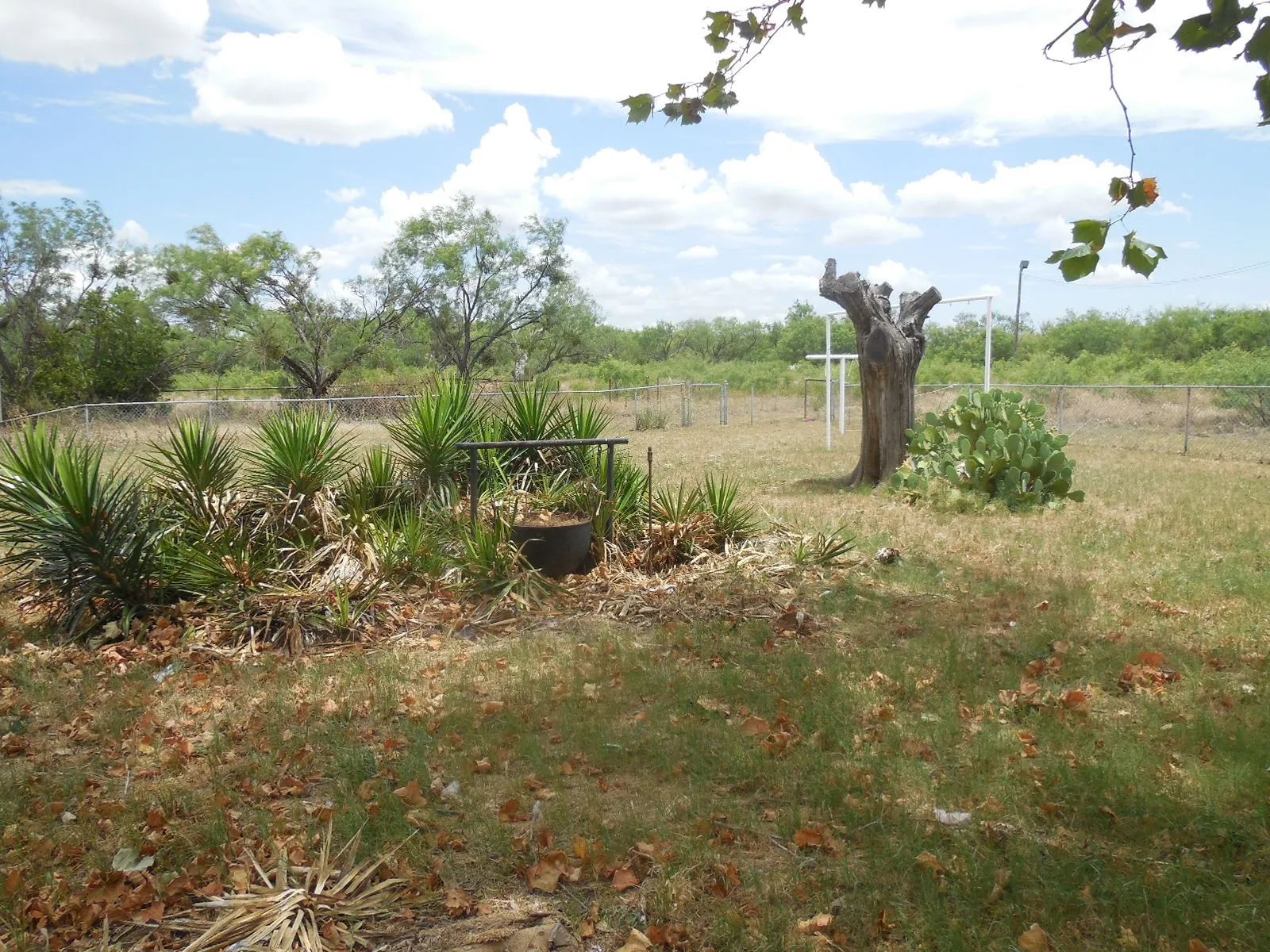View of land