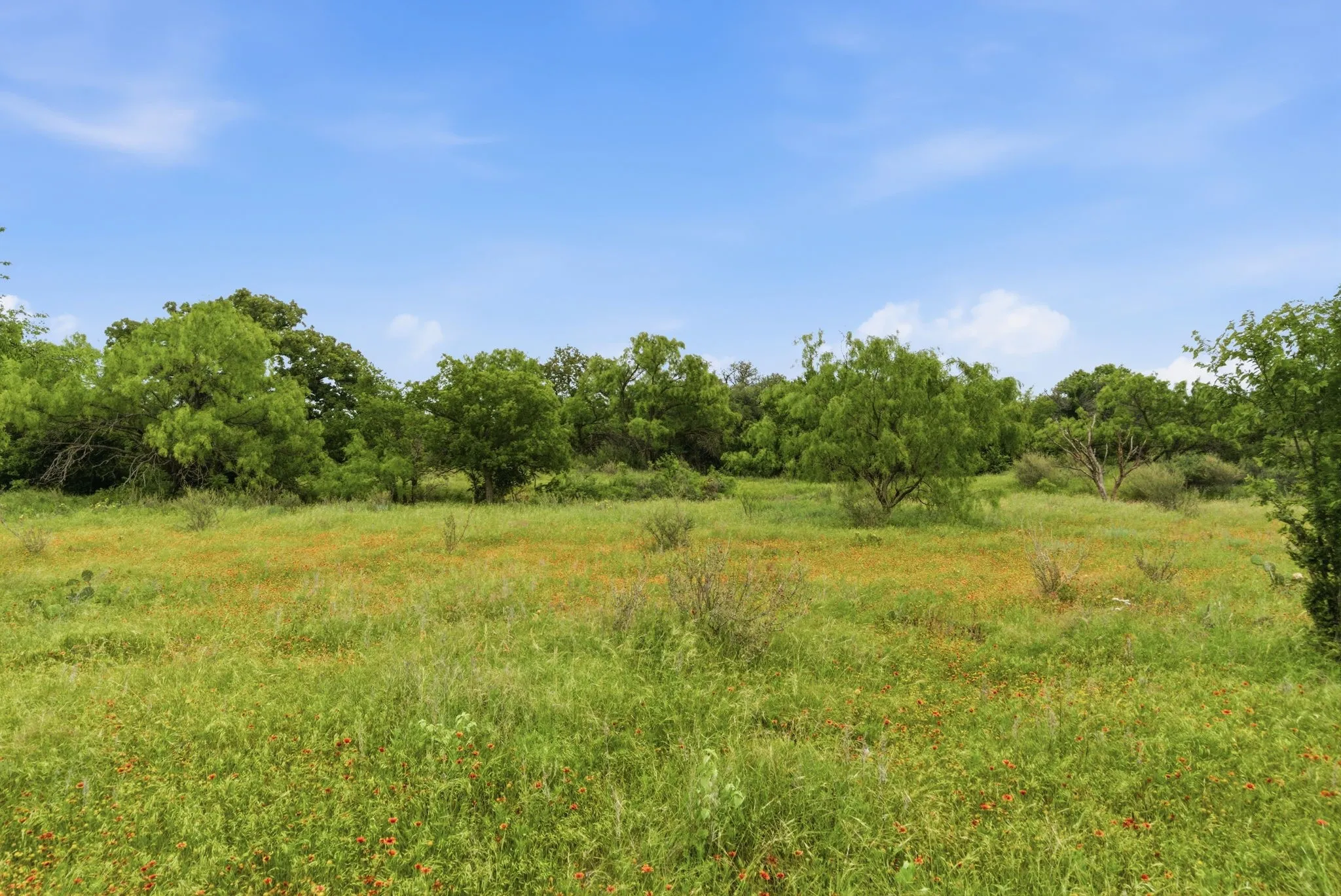 Ranch For Sale in Shackelford County , 256+-Ac FM 880, Moran, Texas 76464, 0, 0, Garage spaces, 0 Sqft, built in 0, Price $1,344,000, mls#21318833, Real Estate Agent in Moran, Homes For Sale in Shackelford county, Homes For Sale in Moran, Realtor in Moran Texas, Real Estate Brokerage Independent Realty Texas, Luminita Cordes Realtor