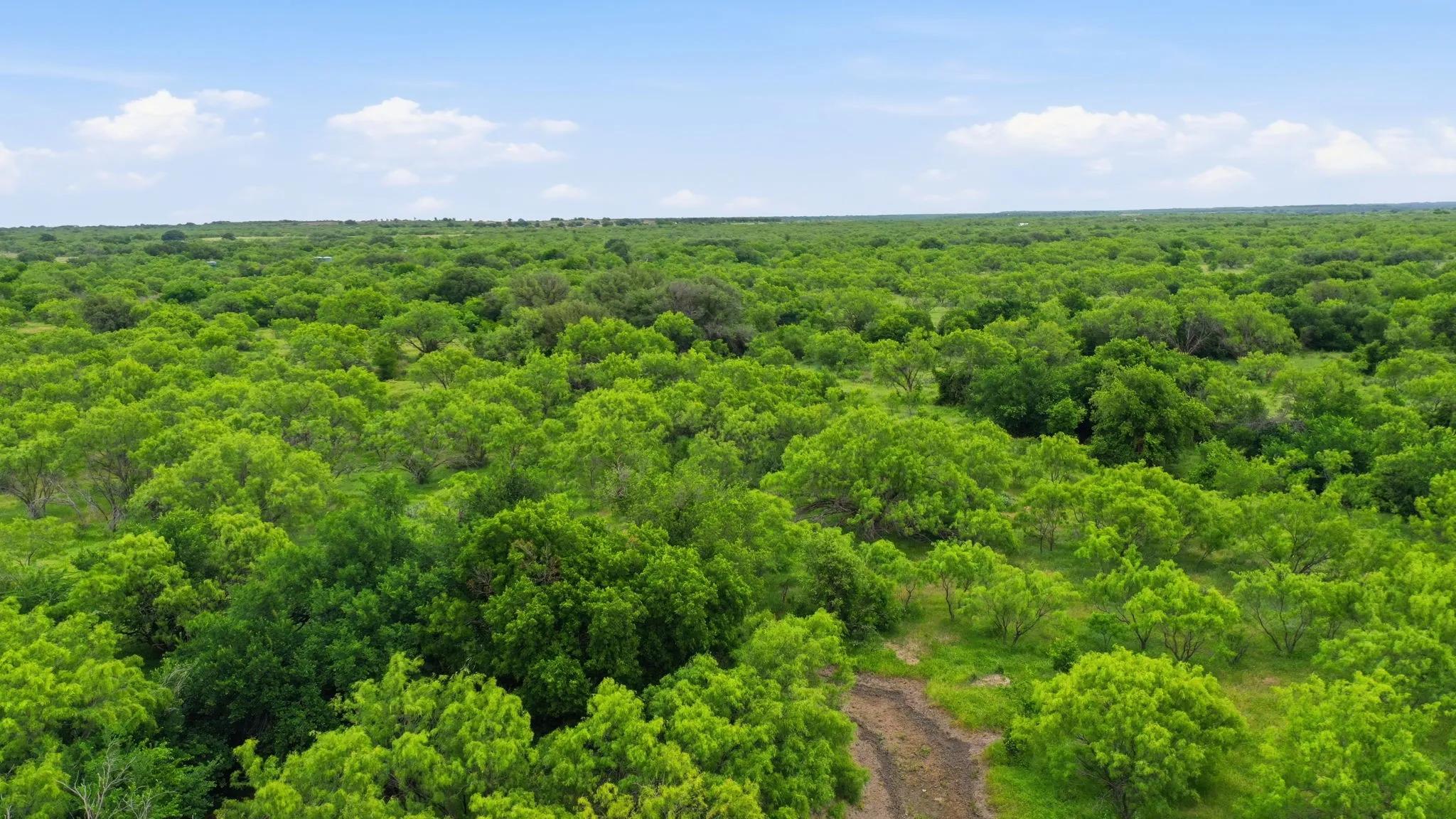 Ranch For Sale in Shackelford County , 256+-Ac FM 880, Moran, Texas 76464, 0, 0, Garage spaces, 0 Sqft, built in 0, Price $1,344,000, mls#21318833, Real Estate Agent in Moran, Homes For Sale in Shackelford county, Homes For Sale in Moran, Realtor in Moran Texas, Real Estate Brokerage Independent Realty Texas, Luminita Cordes Realtor