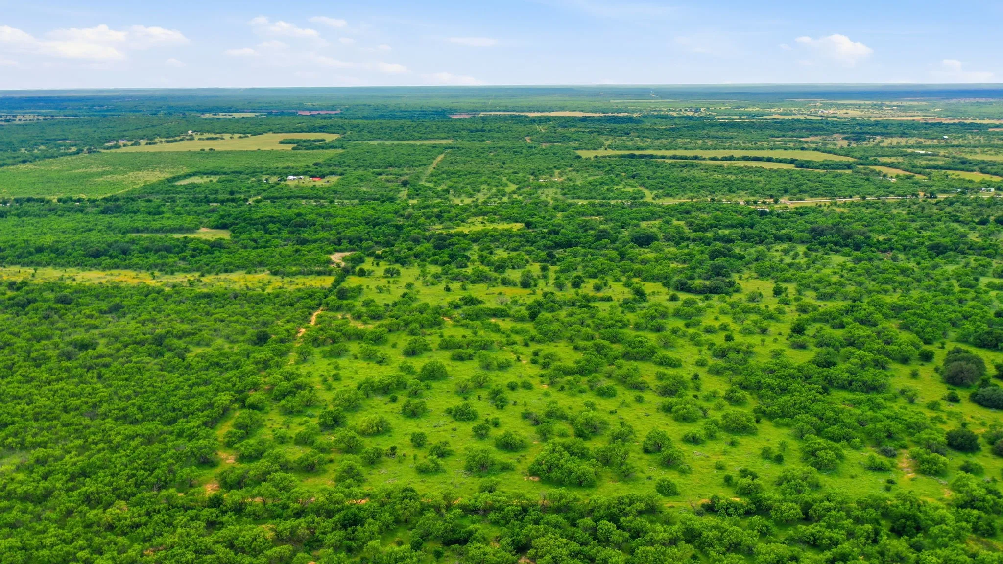 Ranch For Sale in Shackelford County , 256+-Ac FM 880, Moran, Texas 76464, 0, 0, Garage spaces, 0 Sqft, built in 0, Price $1,344,000, mls#21318833, Real Estate Agent in Moran, Homes For Sale in Shackelford county, Homes For Sale in Moran, Realtor in Moran Texas, Real Estate Brokerage Independent Realty Texas, Luminita Cordes Realtor
