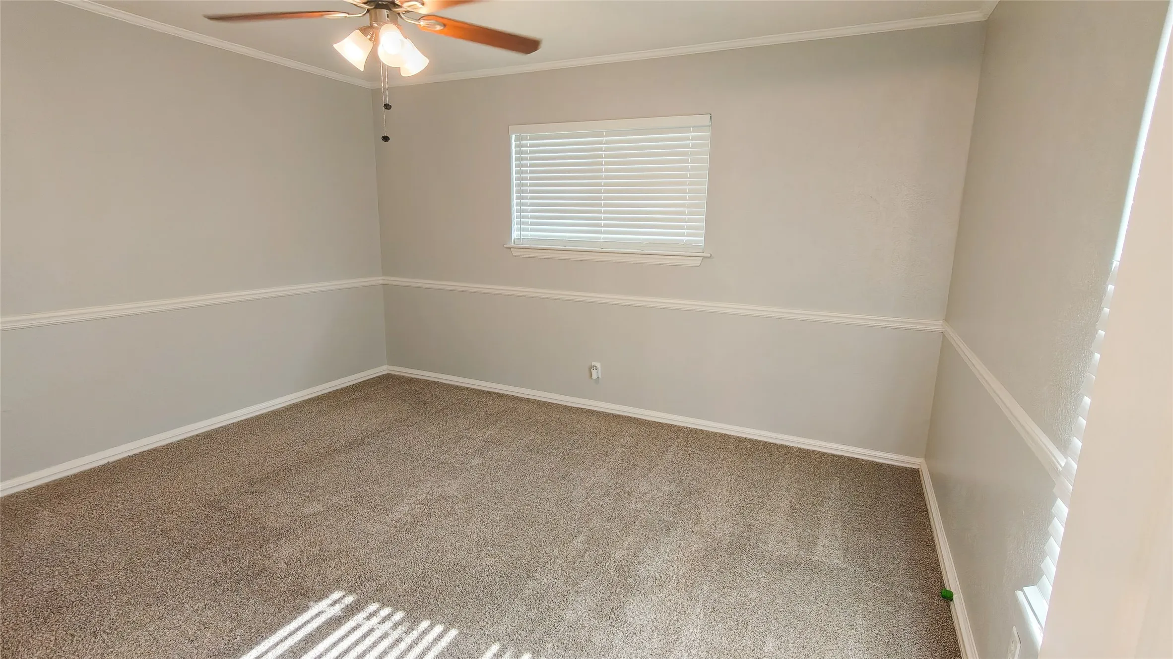 Carpeted primary bedroom.