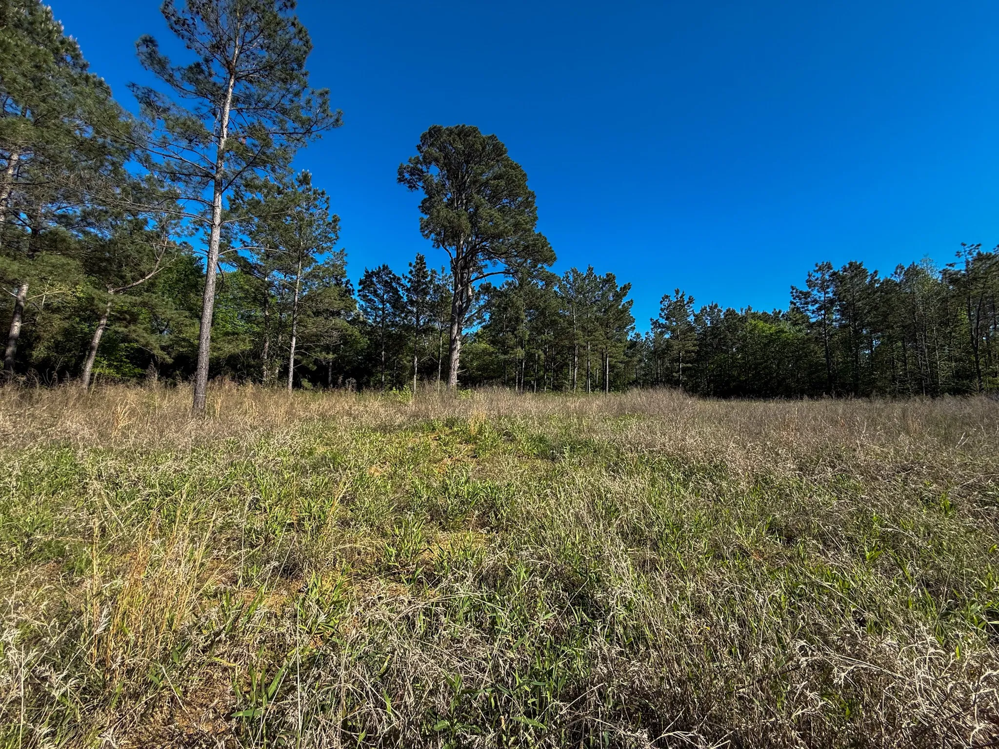 Single Family Residence For Sale in Cherokee County , 494 CR 4403, Jacksonville, Texas 75766, 4 Bedrooms, 3 Bathrooms, 2 Garage spaces, 2,787 Sqft, built in 2018, Price $675,000, mls#21318966, Real Estate Agent in Jacksonville, Homes For Sale in Cherokee county, Homes For Sale in Jacksonville, Realtor in Jacksonville Texas, Real Estate Brokerage Independent Realty Texas, Luminita Cordes Realtor