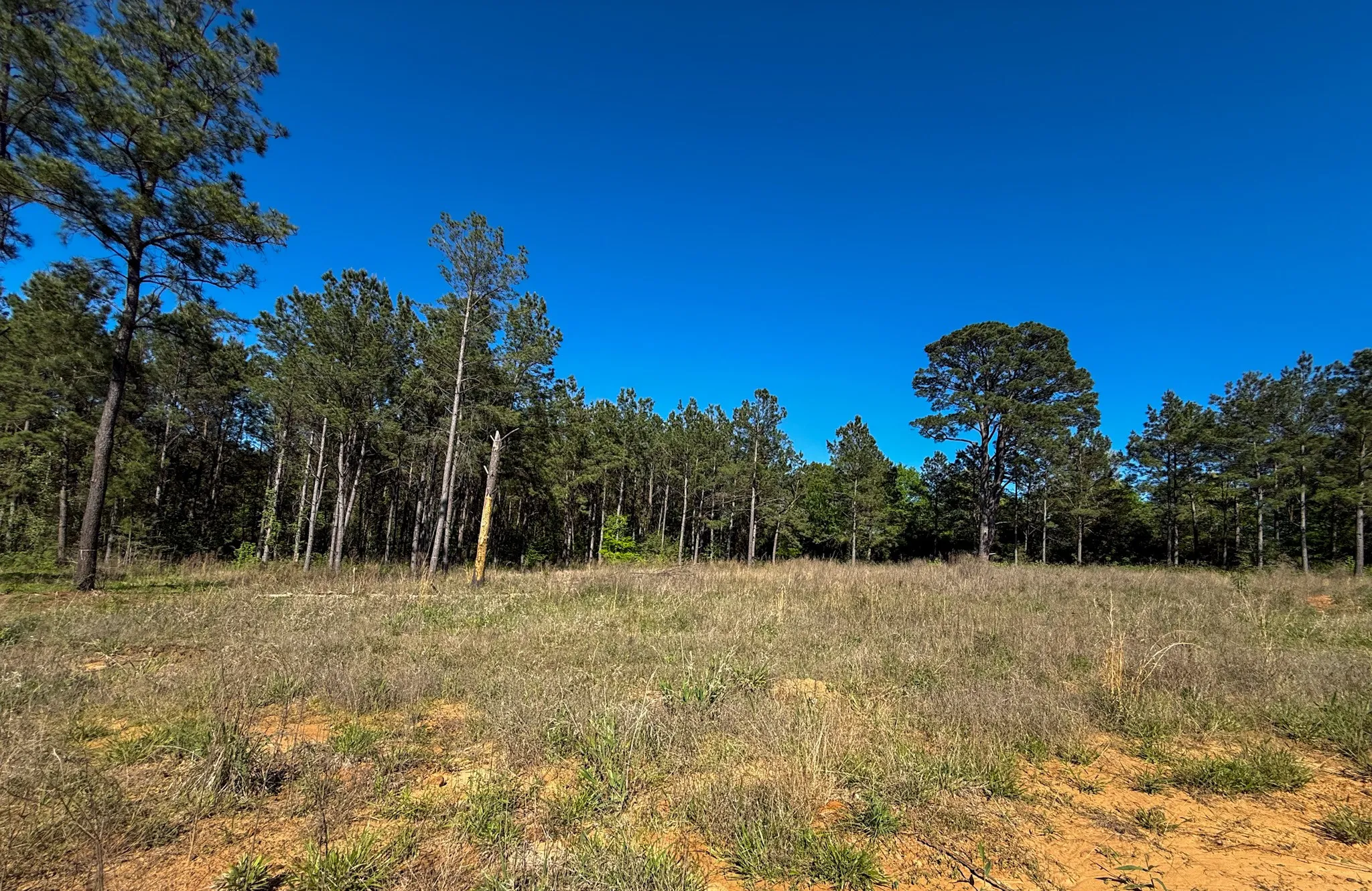 Single Family Residence For Sale in Cherokee County , 494 CR 4403, Jacksonville, Texas 75766, 4 Bedrooms, 3 Bathrooms, 2 Garage spaces, 2,787 Sqft, built in 2018, Price $675,000, mls#21318966, Real Estate Agent in Jacksonville, Homes For Sale in Cherokee county, Homes For Sale in Jacksonville, Realtor in Jacksonville Texas, Real Estate Brokerage Independent Realty Texas, Luminita Cordes Realtor