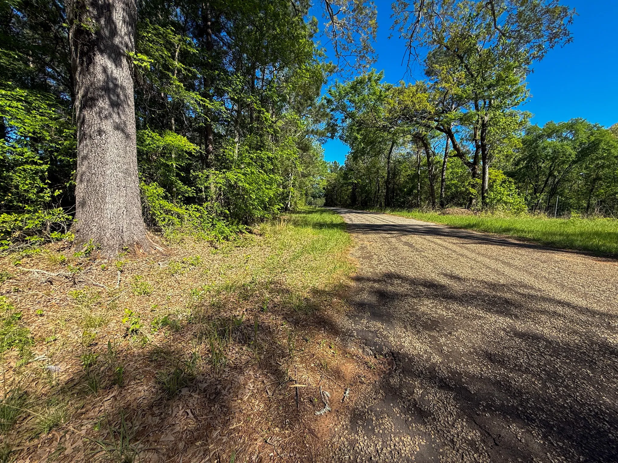 Single Family Residence For Sale in Cherokee County , 494 CR 4403, Jacksonville, Texas 75766, 4 Bedrooms, 3 Bathrooms, 2 Garage spaces, 2,787 Sqft, built in 2018, Price $675,000, mls#21318966, Real Estate Agent in Jacksonville, Homes For Sale in Cherokee county, Homes For Sale in Jacksonville, Realtor in Jacksonville Texas, Real Estate Brokerage Independent Realty Texas, Luminita Cordes Realtor