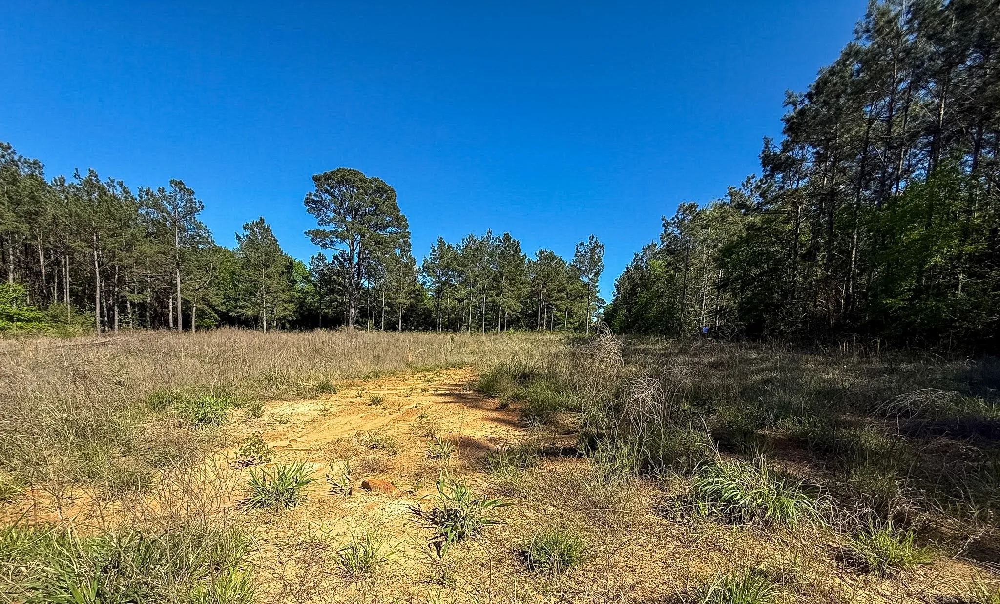 Single Family Residence For Sale in Cherokee County , 494 CR 4403, Jacksonville, Texas 75766, 4 Bedrooms, 3 Bathrooms, 2 Garage spaces, 2,787 Sqft, built in 2018, Price $675,000, mls#21318966, Real Estate Agent in Jacksonville, Homes For Sale in Cherokee county, Homes For Sale in Jacksonville, Realtor in Jacksonville Texas, Real Estate Brokerage Independent Realty Texas, Luminita Cordes Realtor